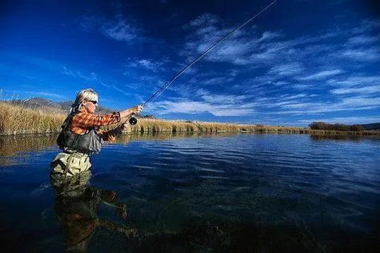 Activities in Williston Lake Resort