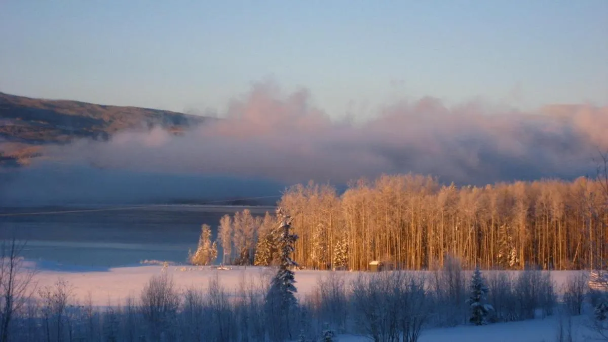 Natural landscape in Williston Lake Resort