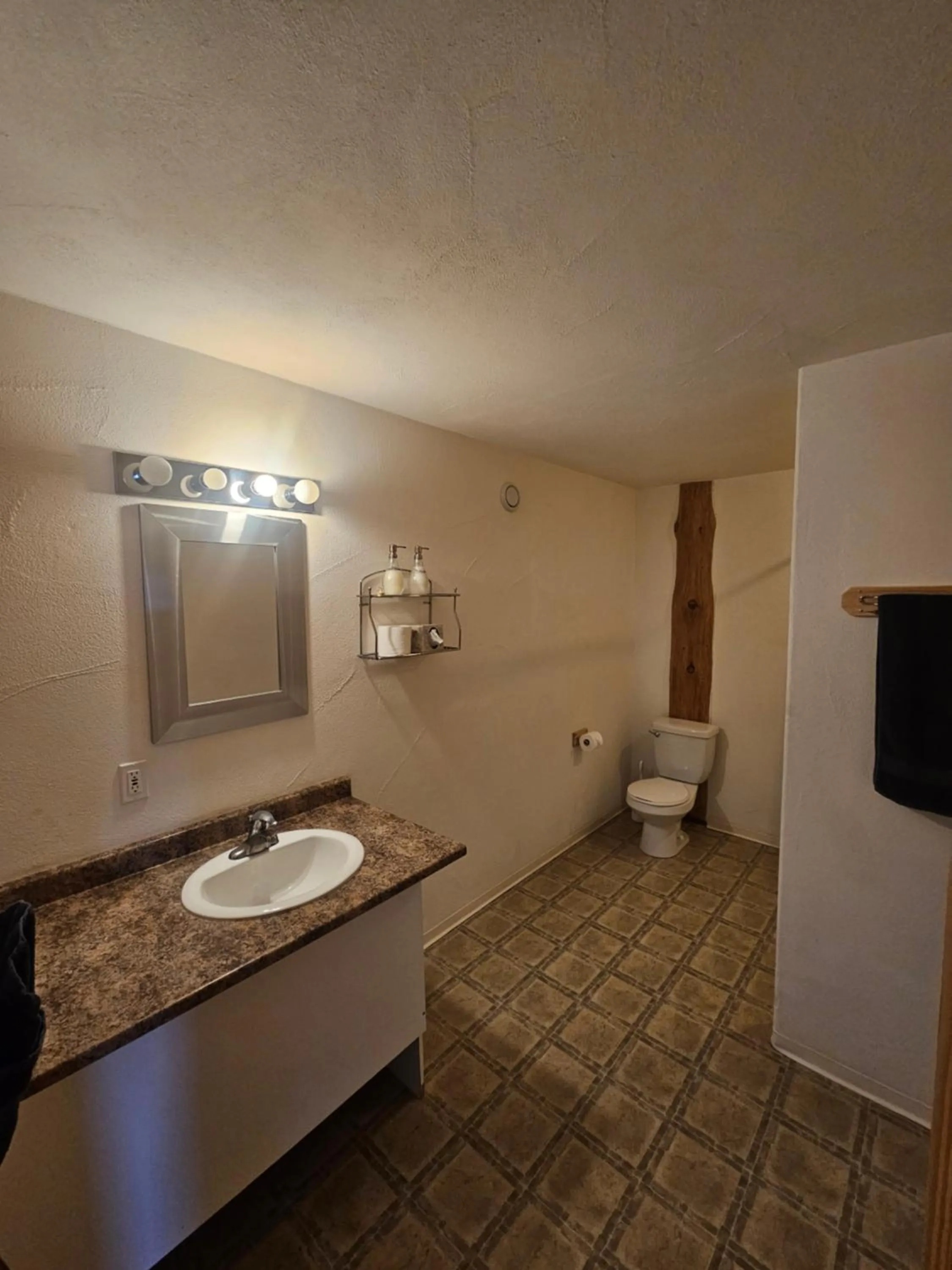 Bathroom in Williston Lake Resort