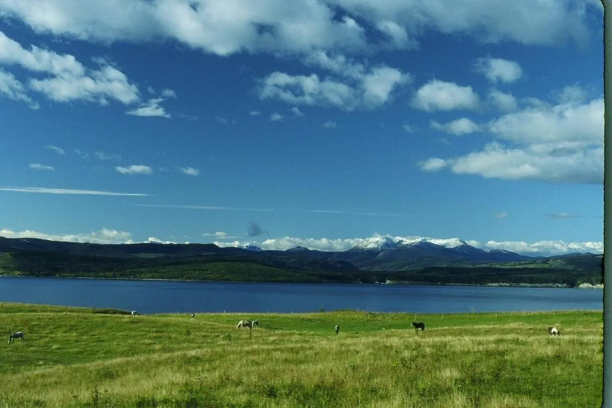 Lake view in Williston Lake Resort