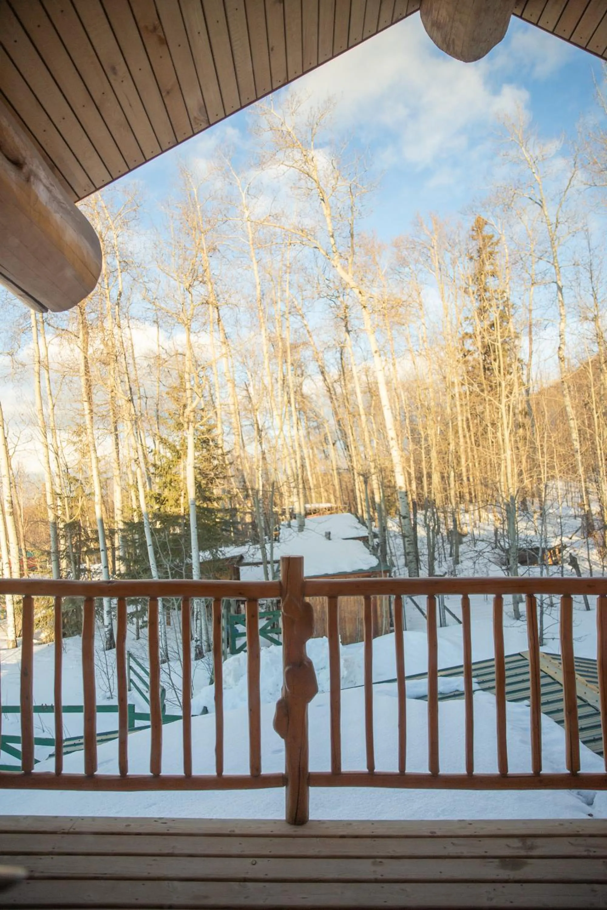 Williston Lake Resort