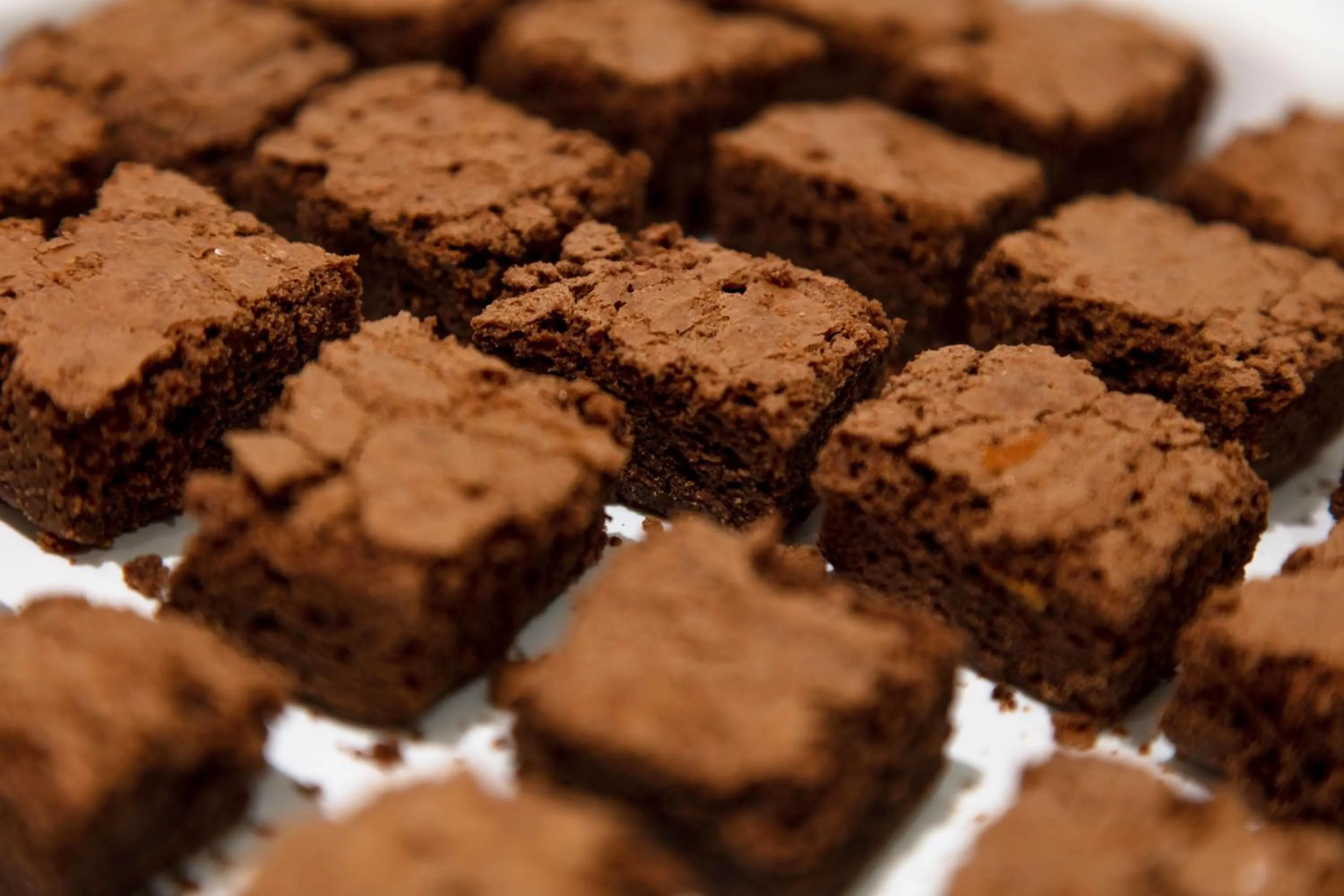 Food and drinks in Hotel Best Night 2