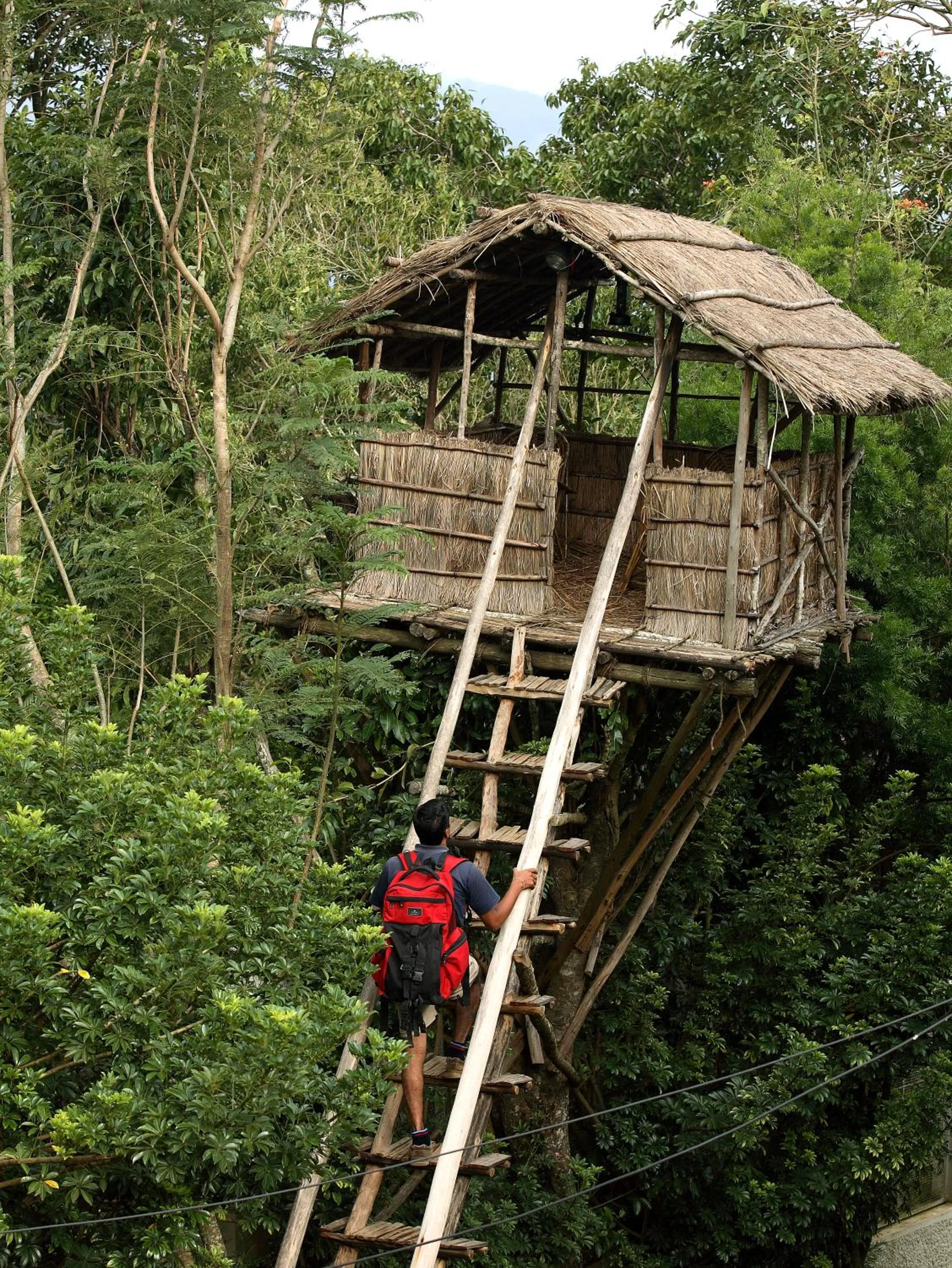 Entertainment in The Siena Village