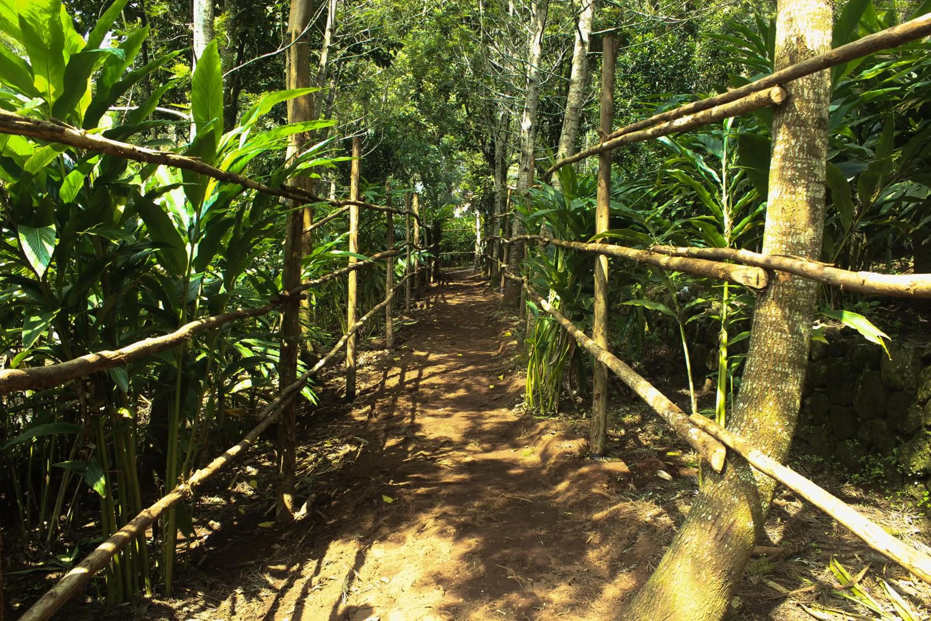 Activities in The Siena Village