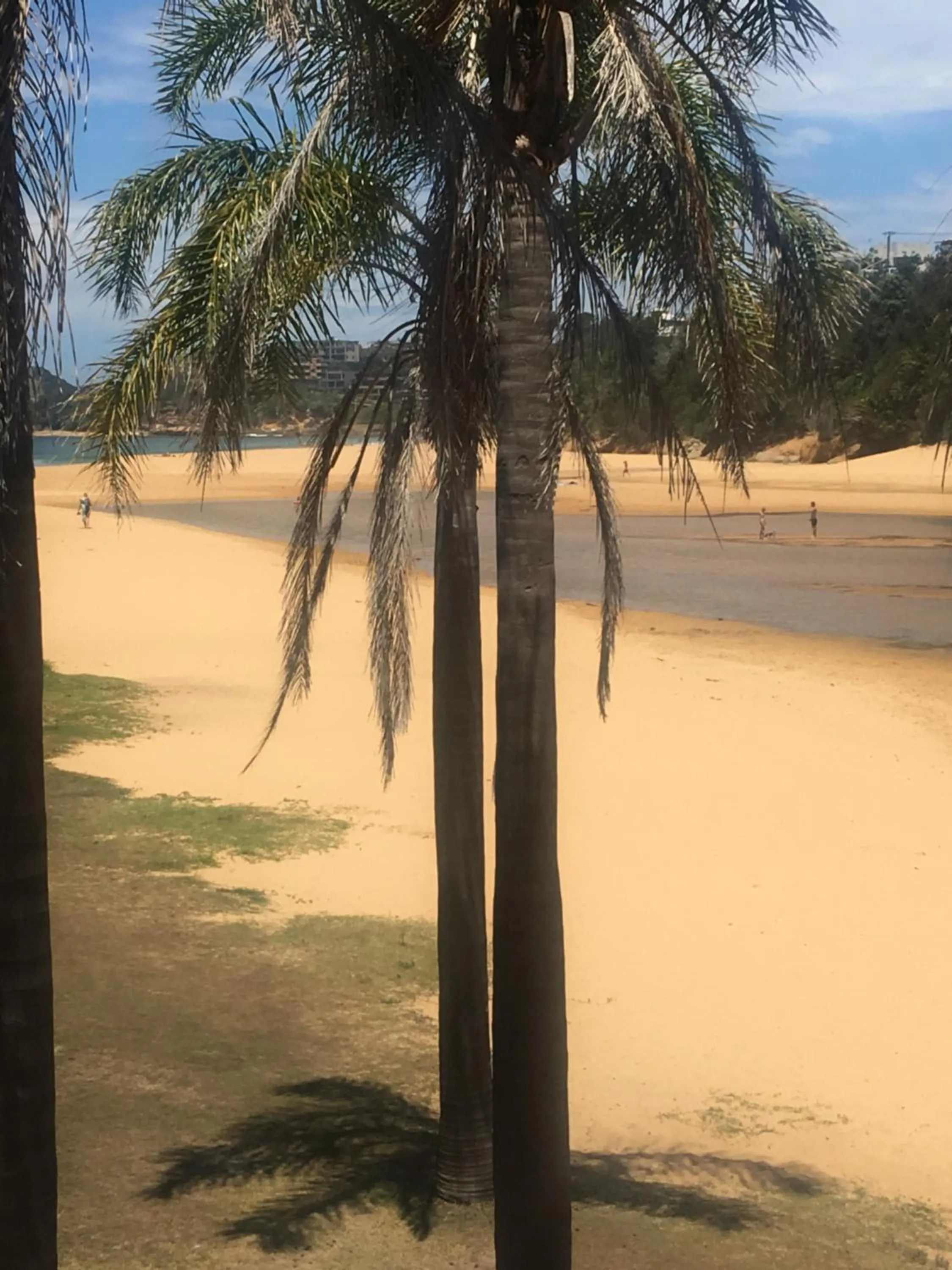 Beach in The Clan Terrigal