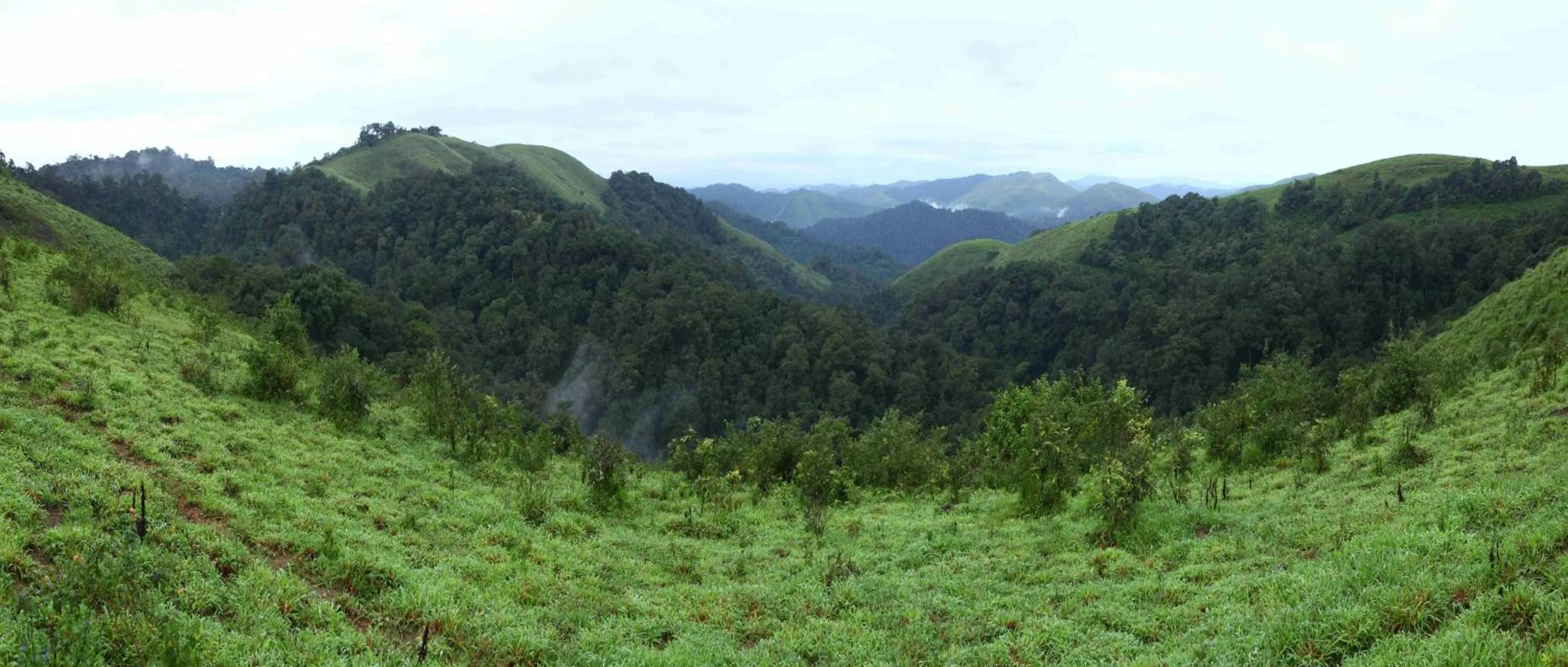 Activities in Springdale Heritage