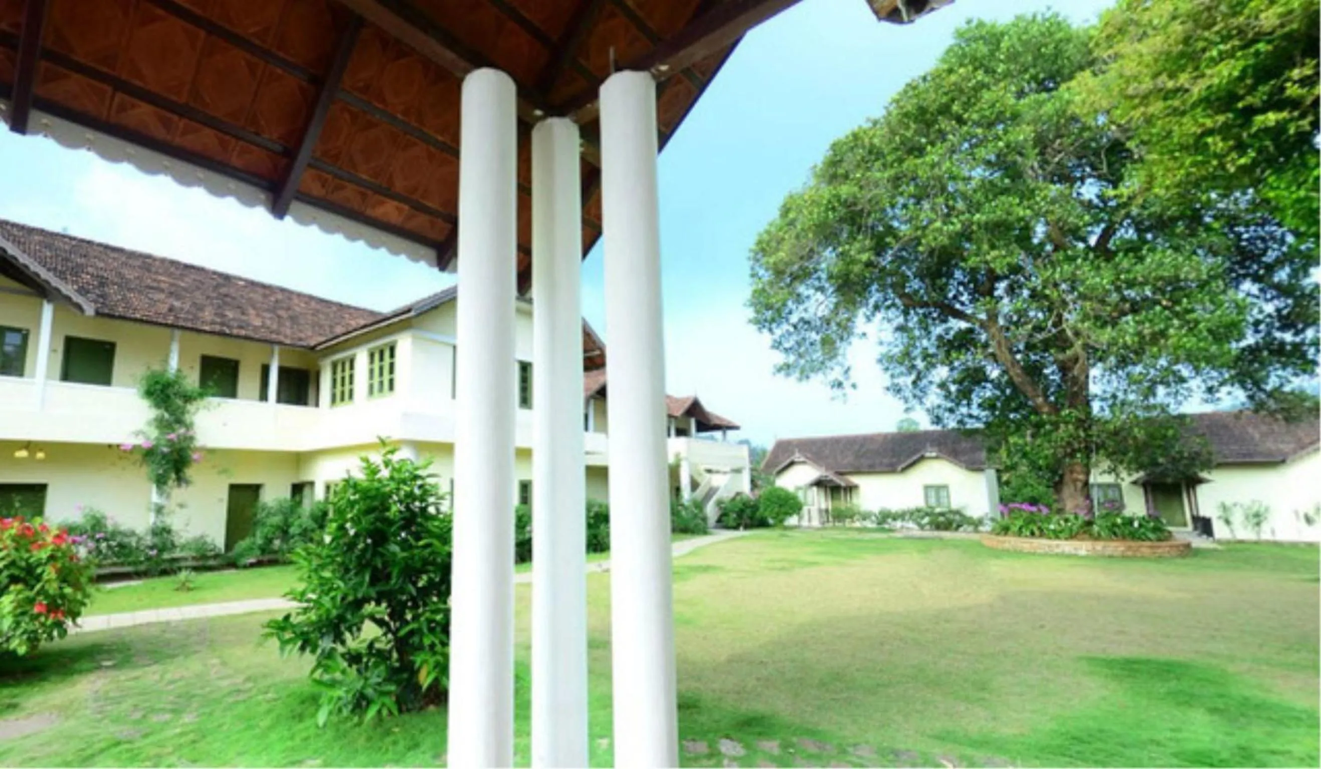 Natural landscape in Springdale Heritage