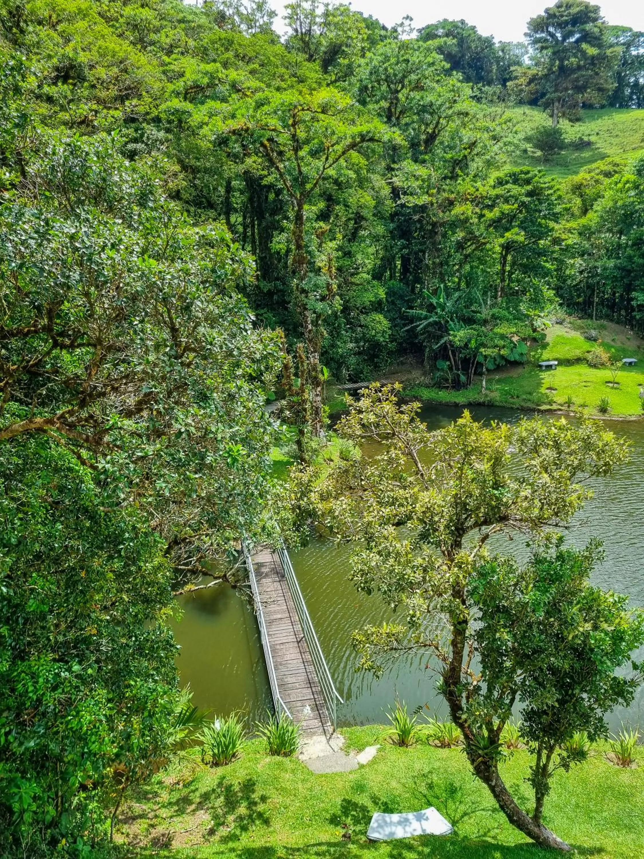 Natural landscape in Burbi Lake Lodge Monteverde