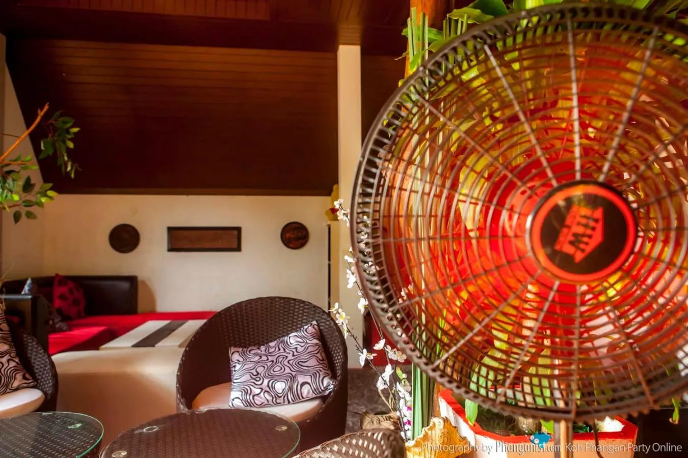 Restaurant/places to eat in Phangan Cove Beach Resort