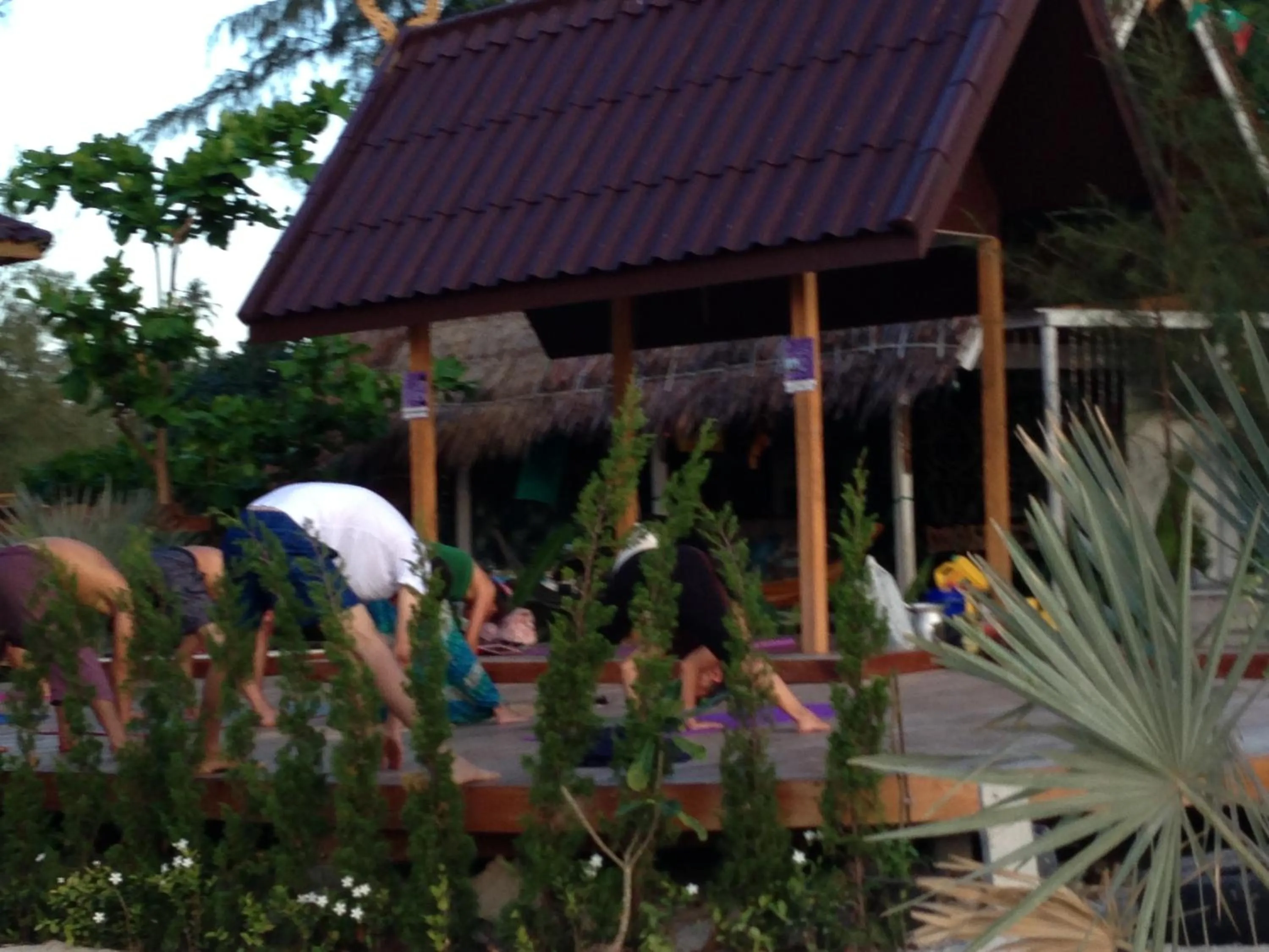 Phangan Cove Beach Resort