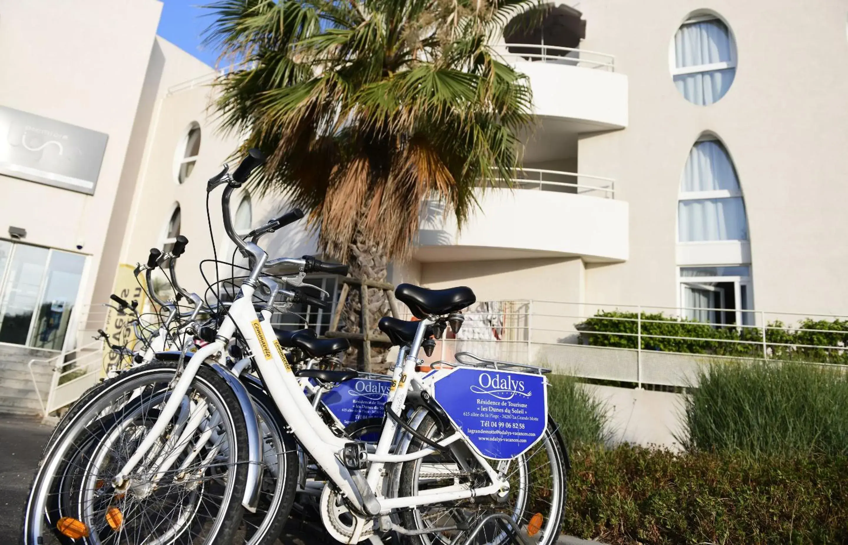 Résidence Odalys Les Dunes du Soleil Résidence Odalys Les Dunes du Soleil