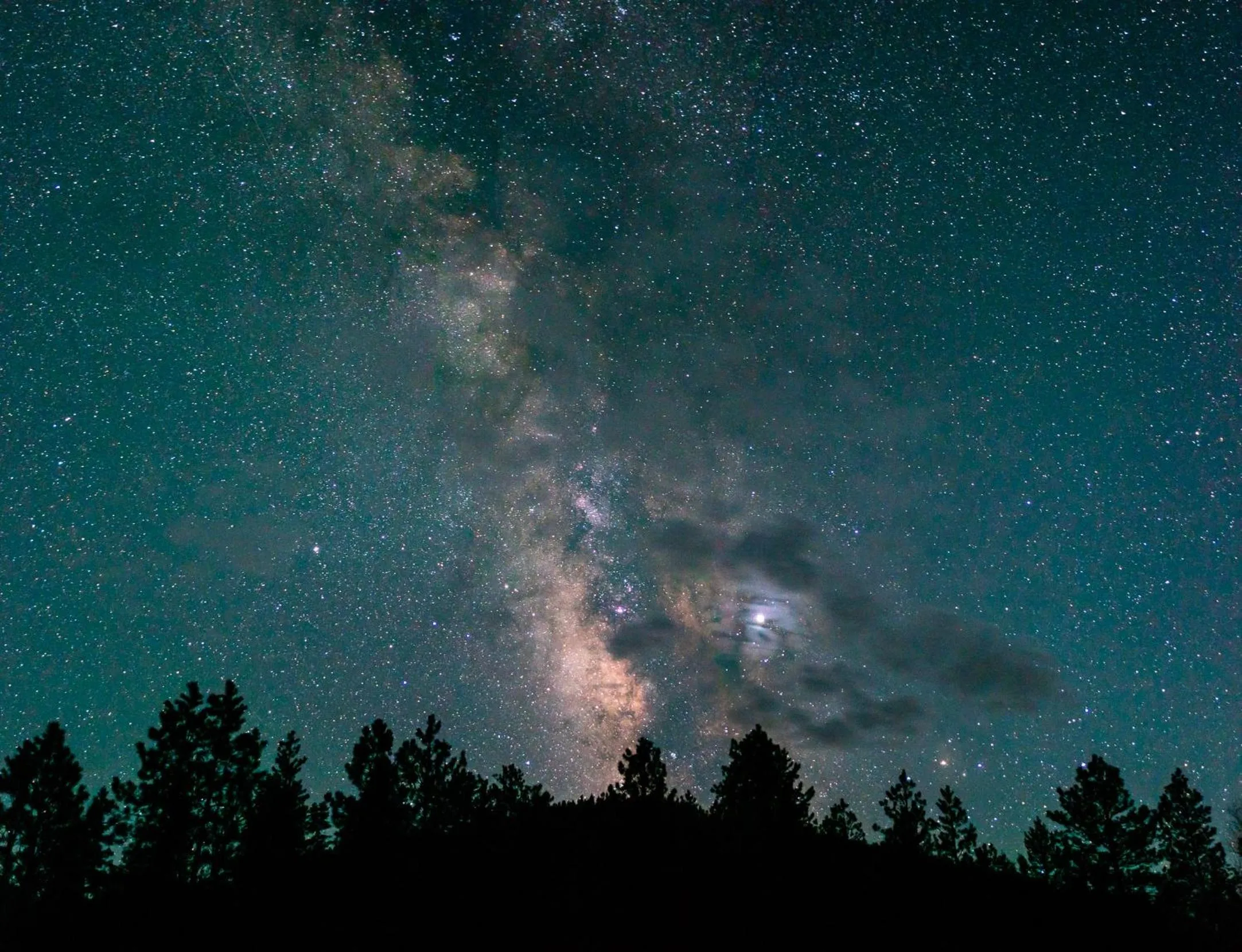 Natural landscape in Corkins Lodge