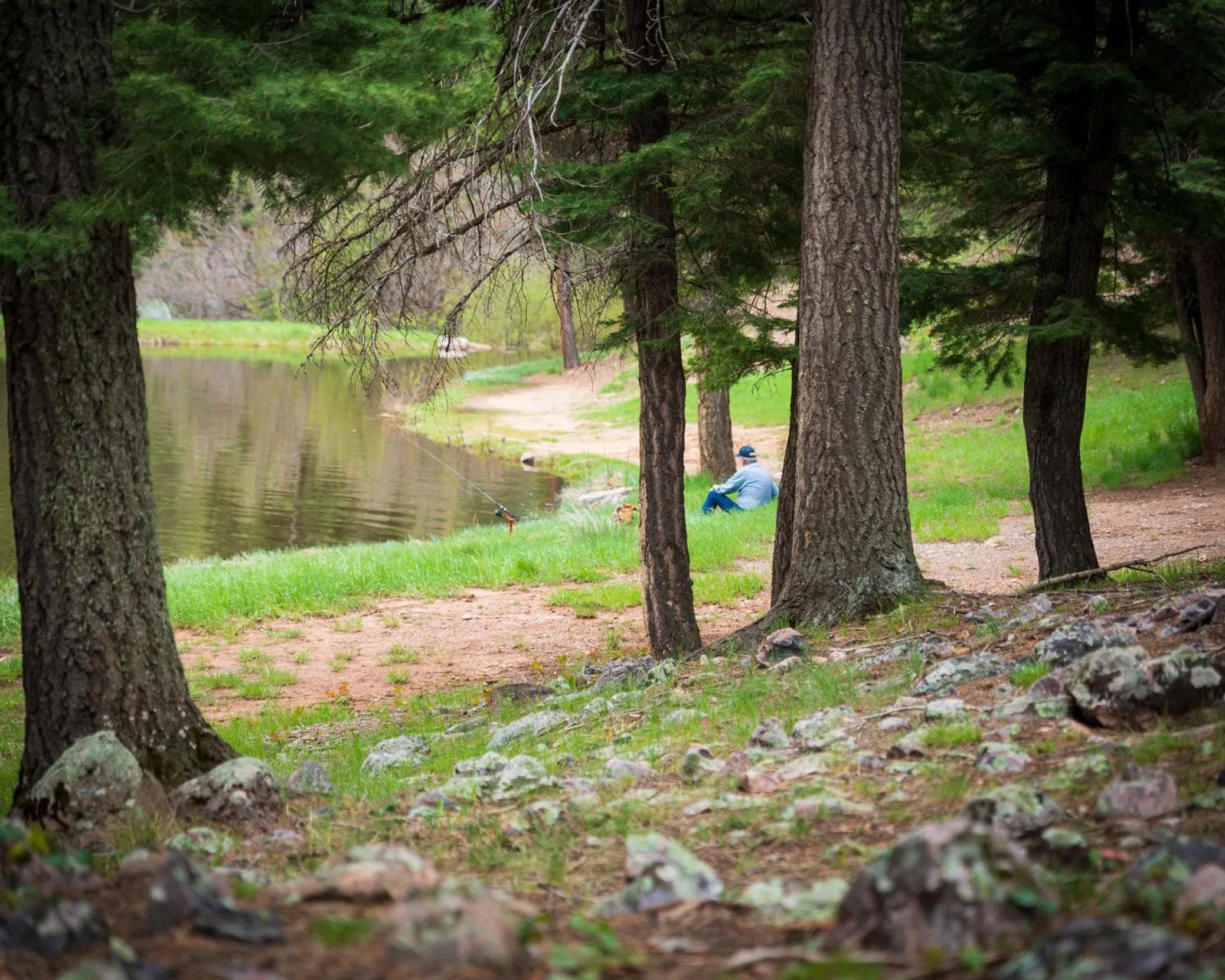 Natural landscape in Corkins Lodge