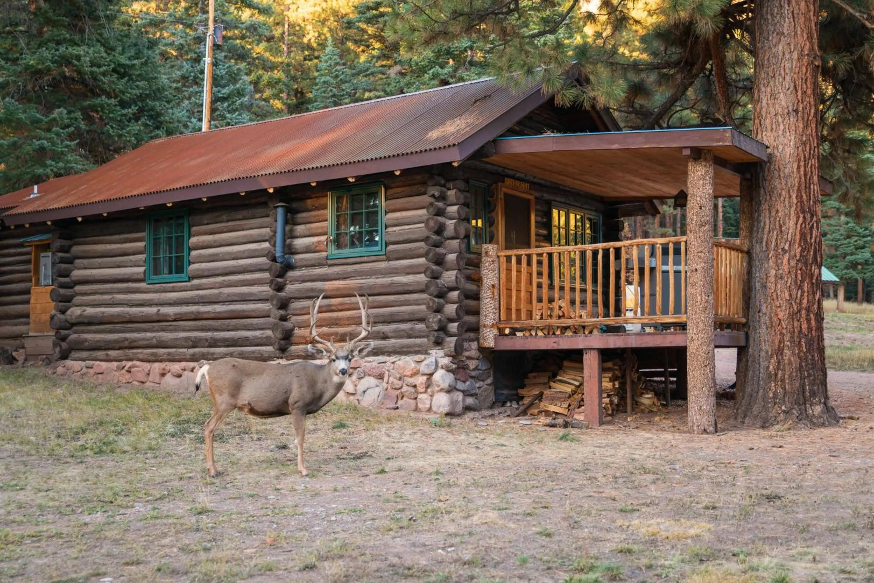 Facade/entrance in Corkins Lodge