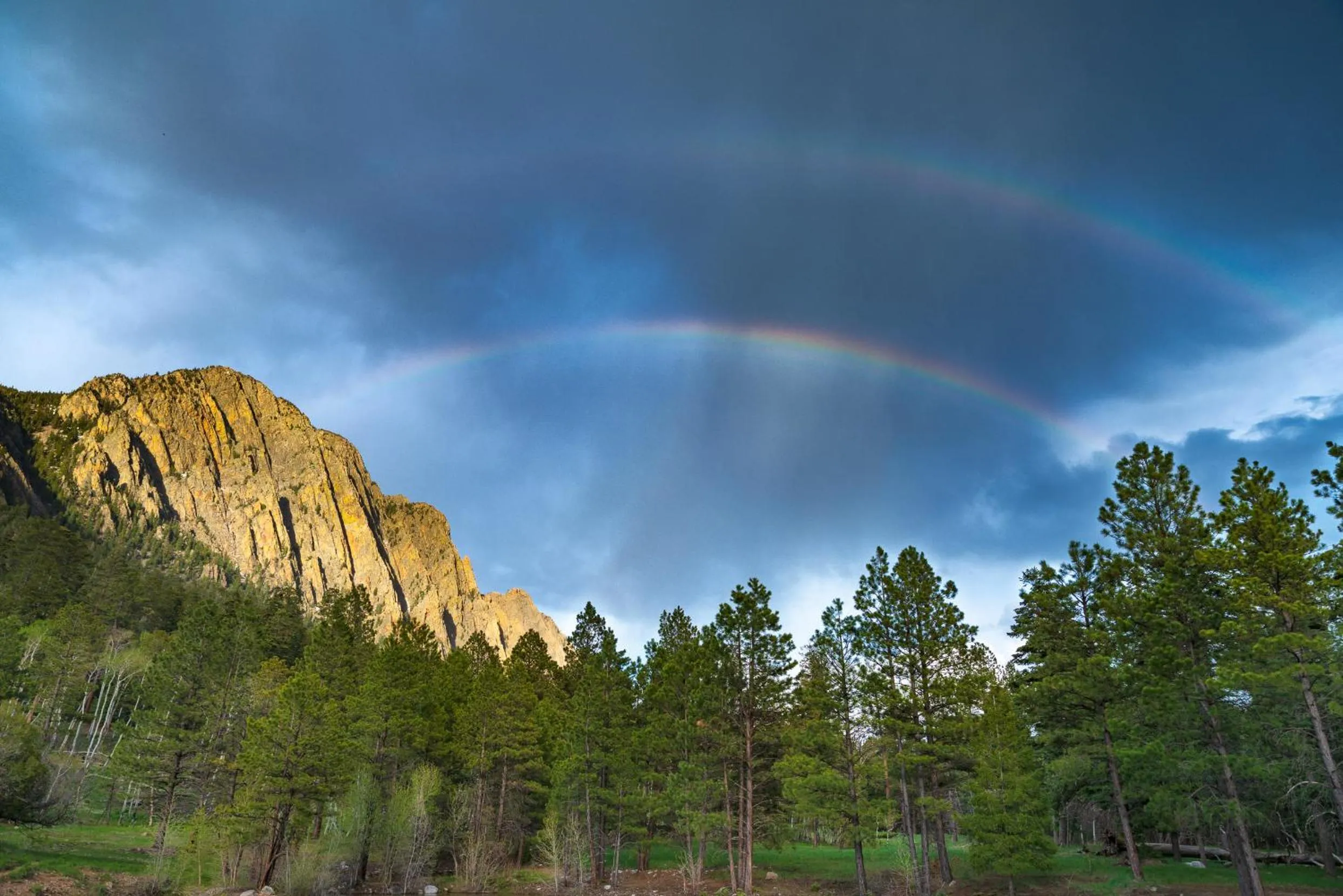 Natural landscape in Corkins Lodge