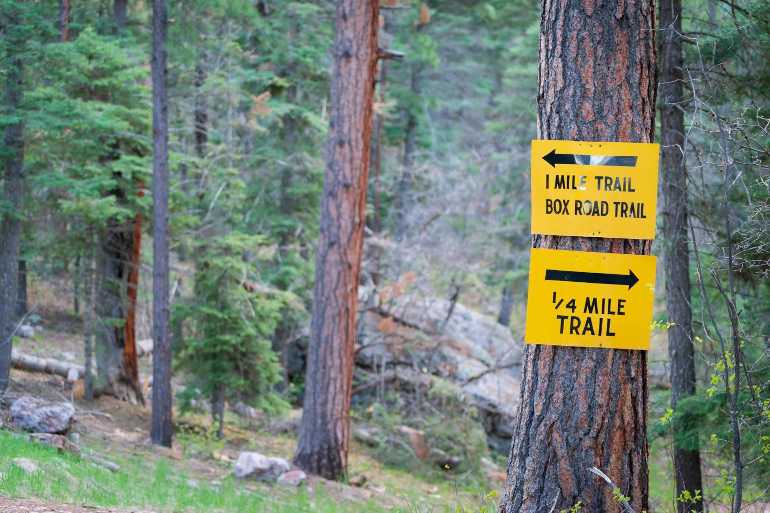 Hiking in Corkins Lodge