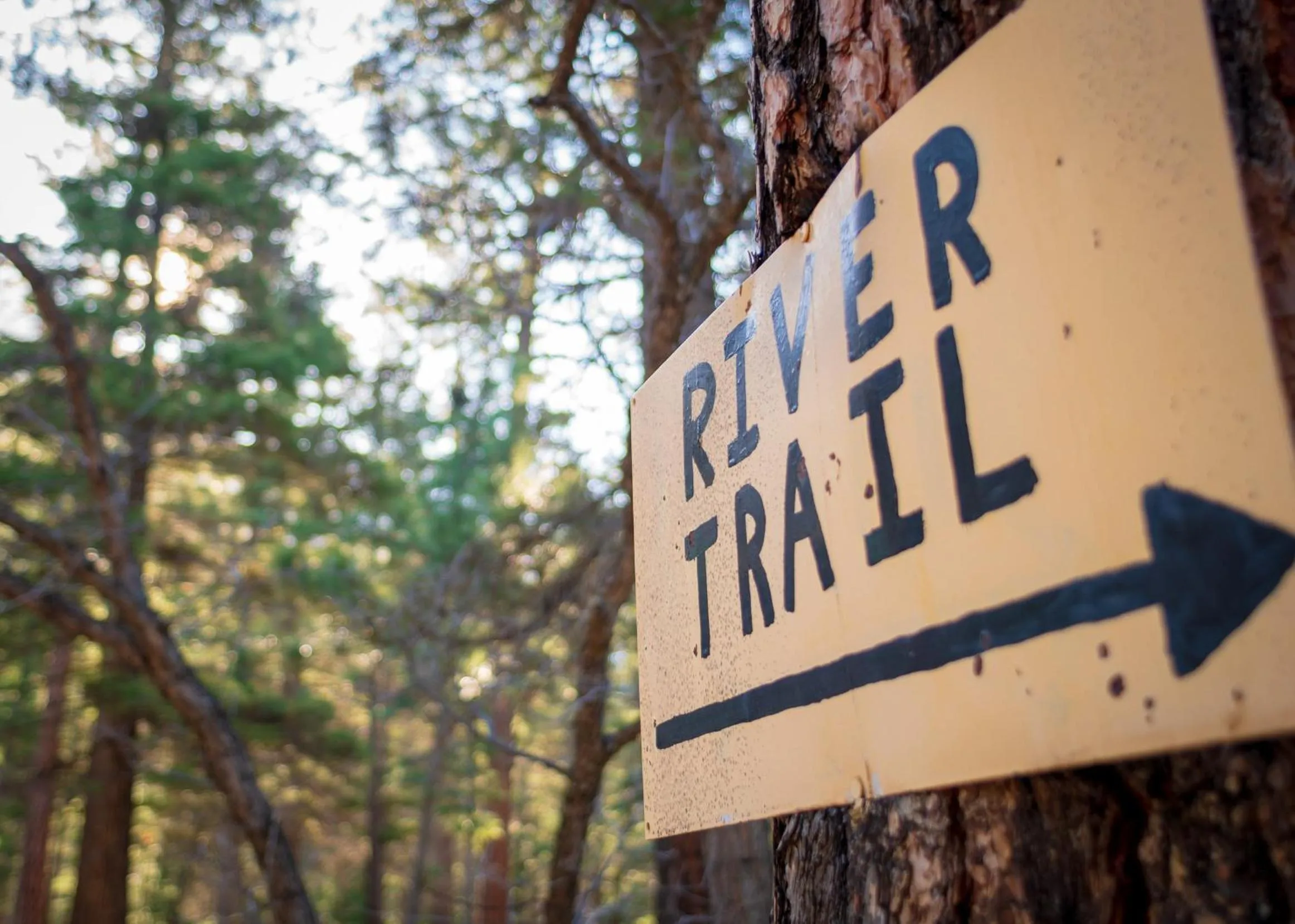 Hiking in Corkins Lodge