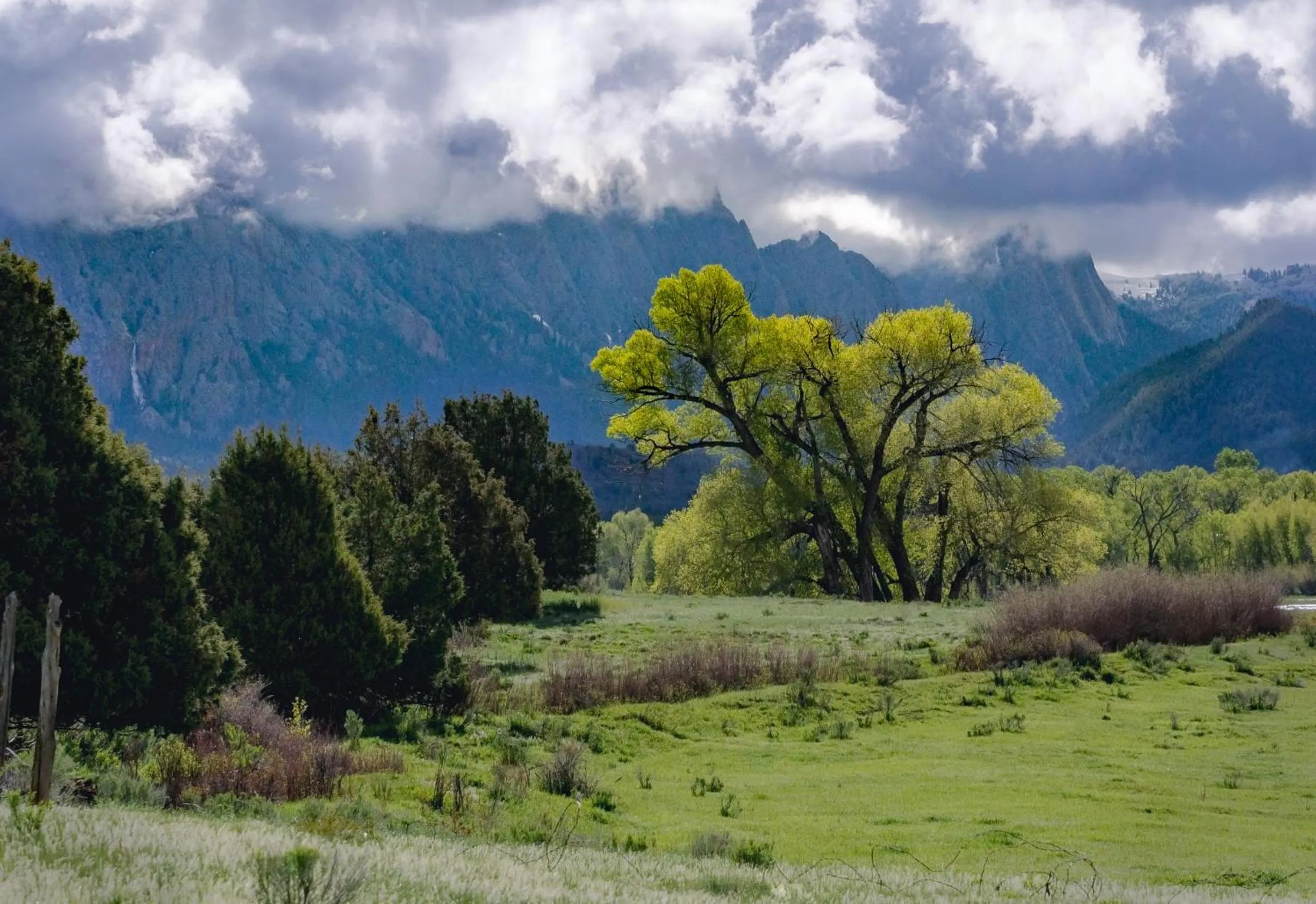 Natural landscape in Corkins Lodge