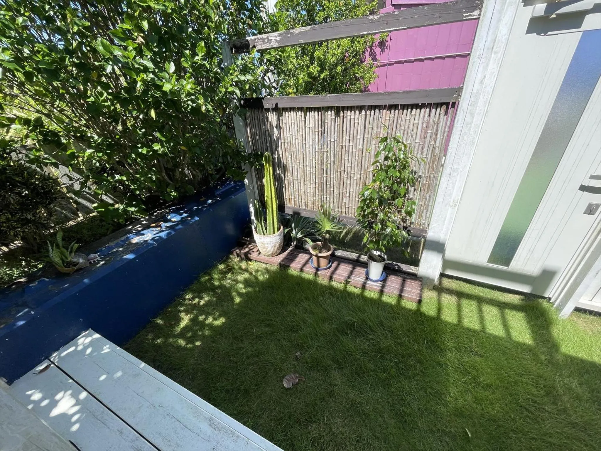 Garden in Shiawaseninaru Kourijima no Yado