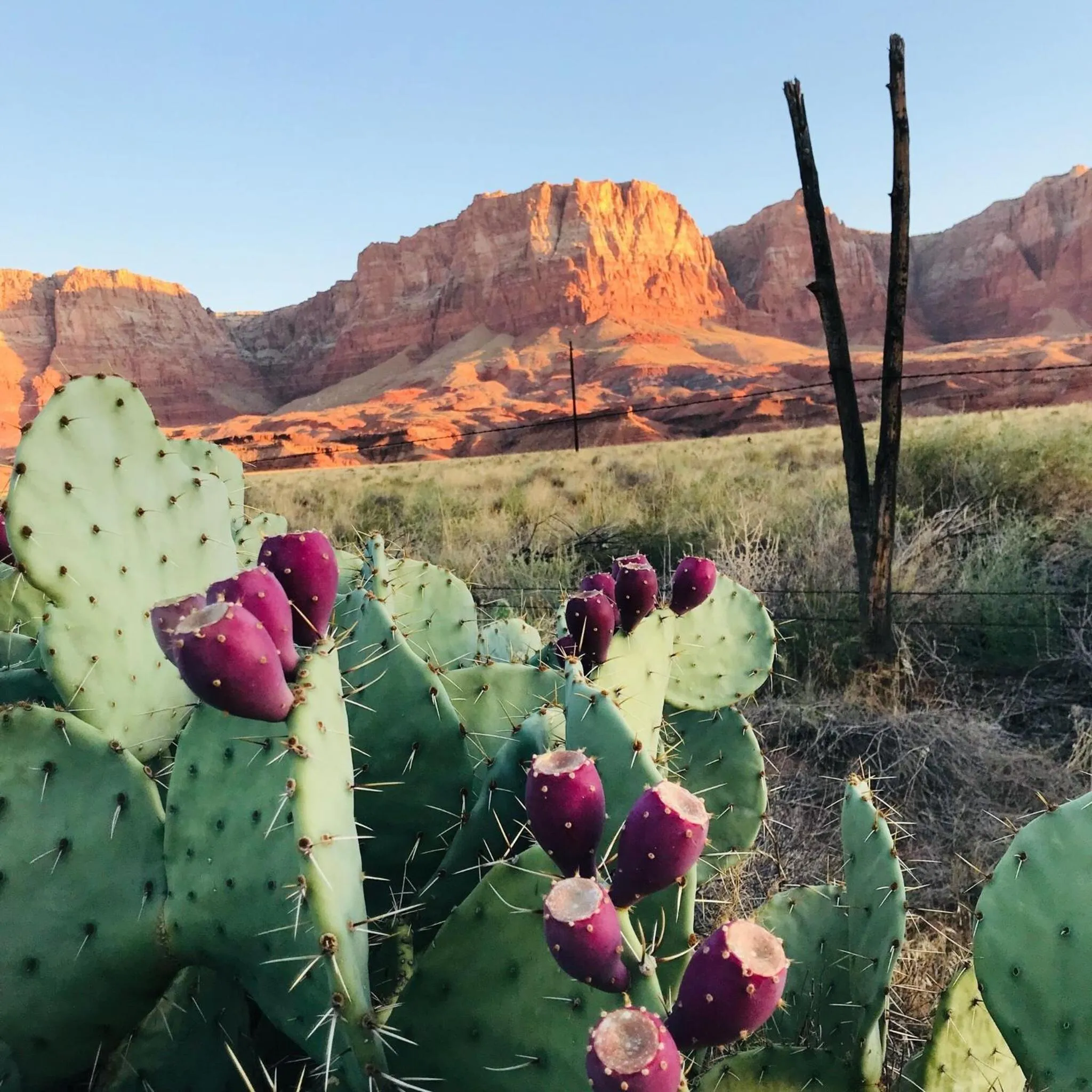 View (from property/room) in Lee's Ferry Lodge at Vermilion Cliffs