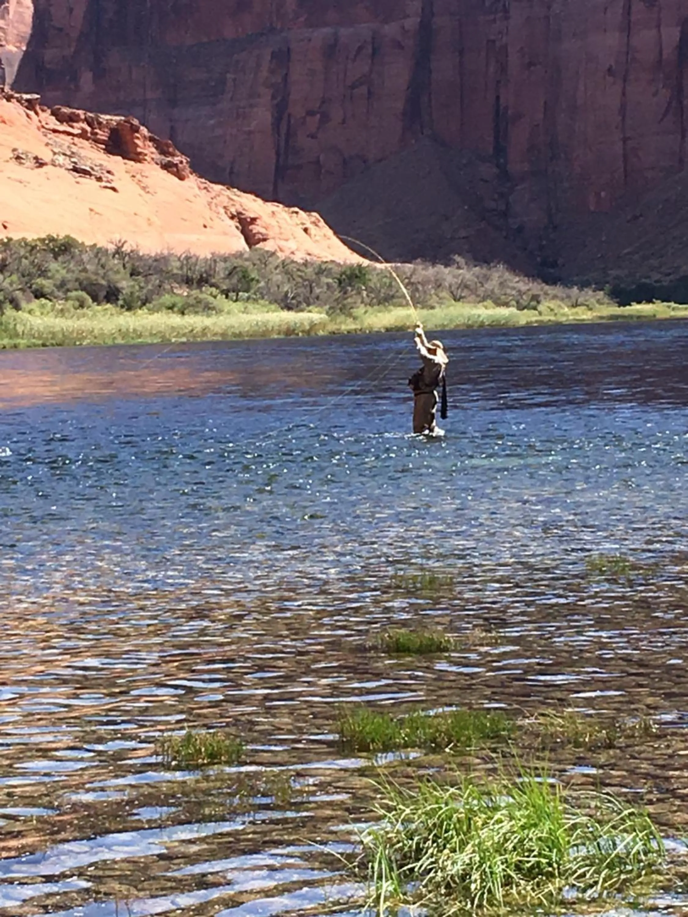 Natural landscape in Lee's Ferry Lodge at Vermilion Cliffs