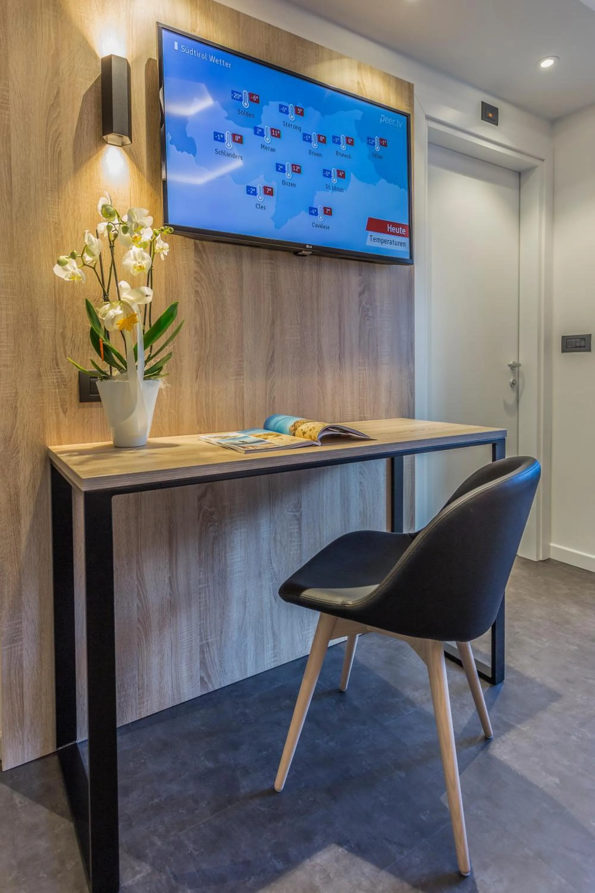 TV and multimedia in Tourist Hotel