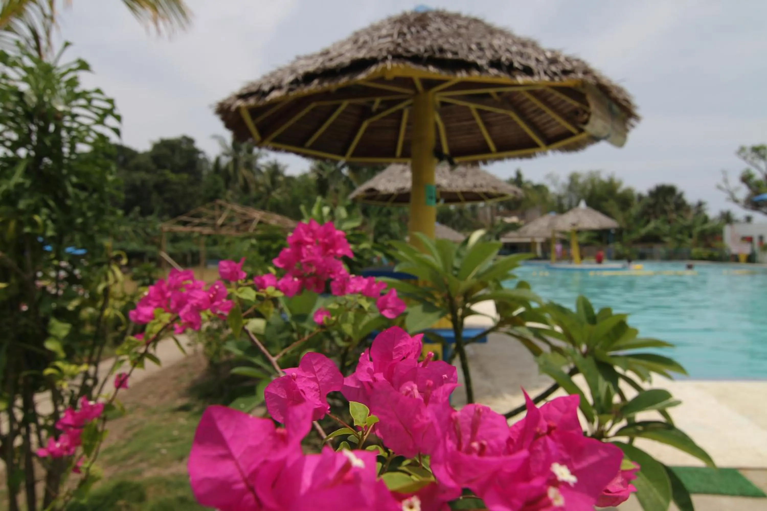 Natural landscape in SweetWater Resort