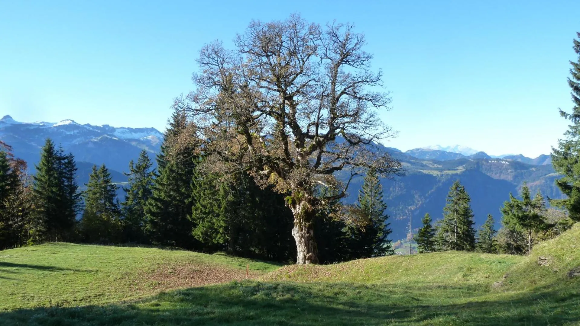 Natural landscape in Ferienhof Felder