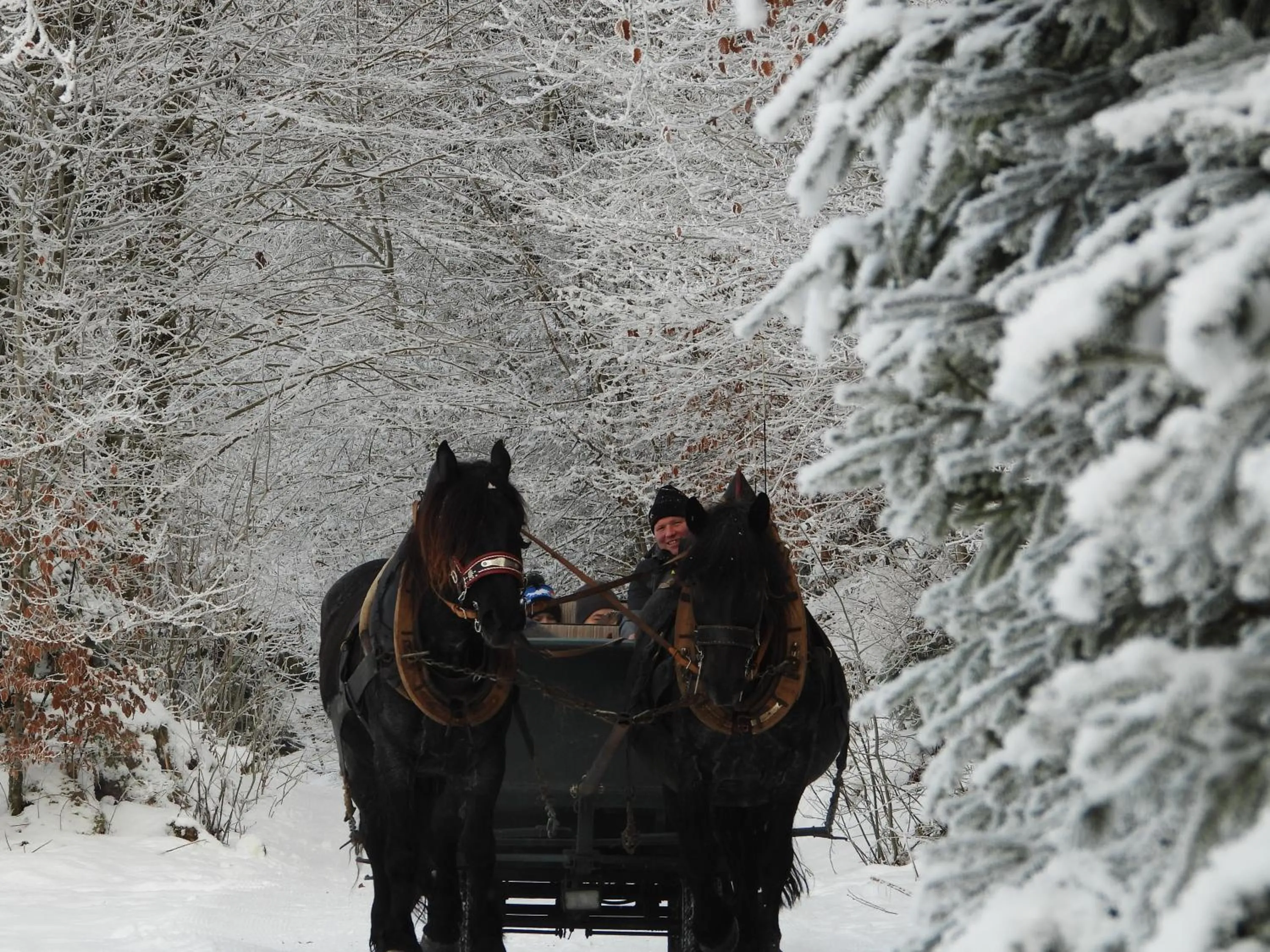 People in Ferienhof Felder