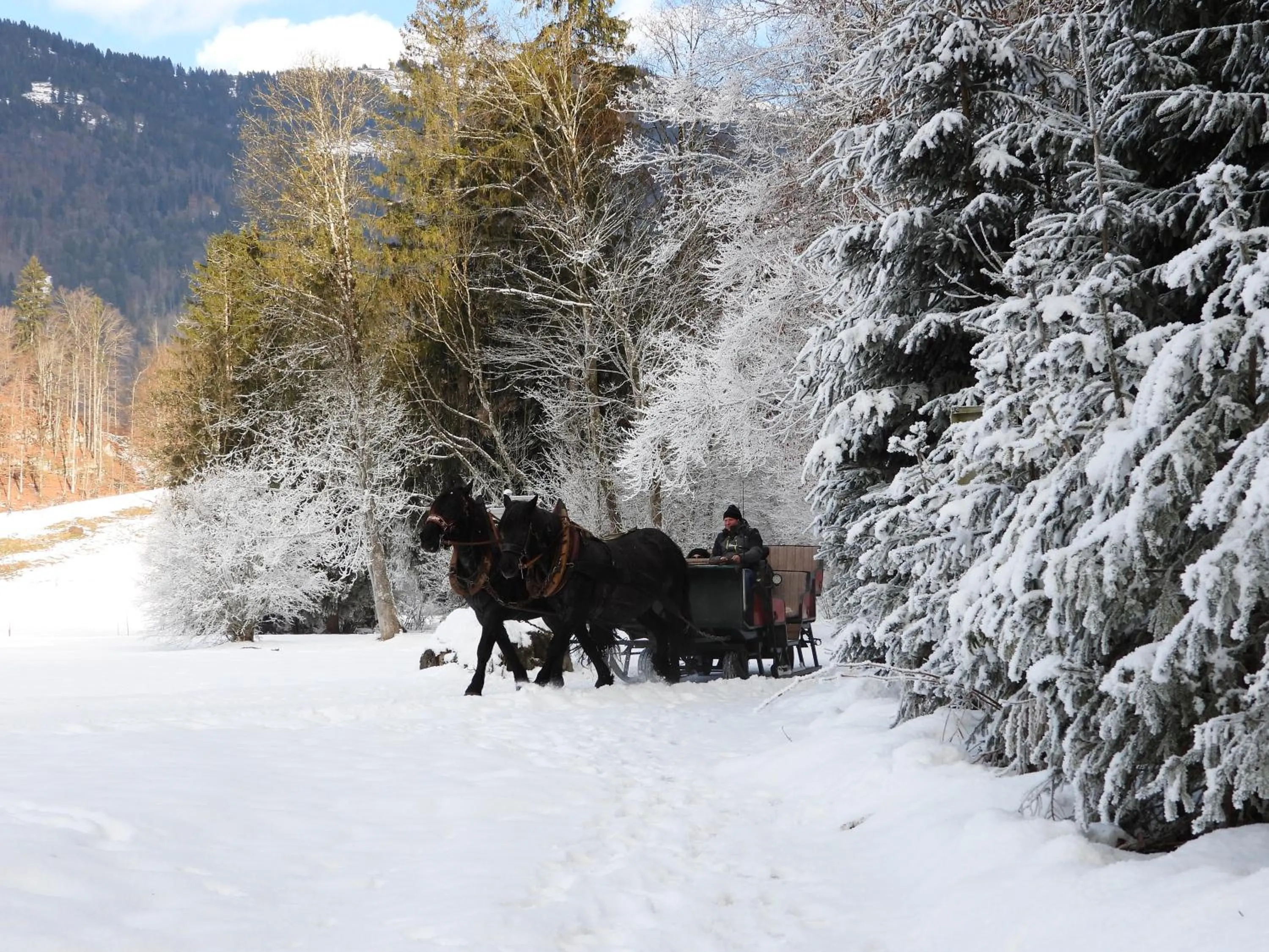 People in Ferienhof Felder