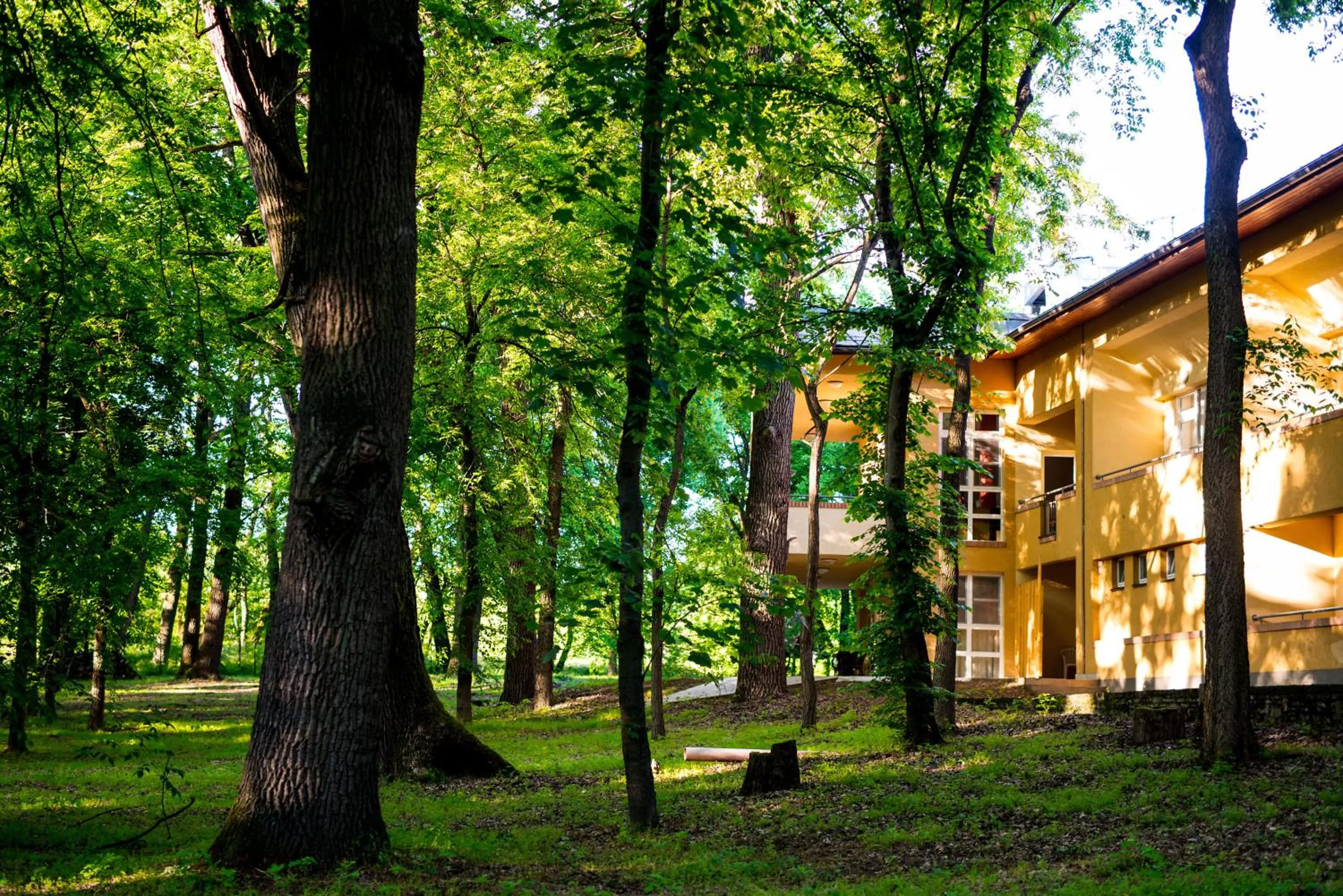 Property building in Park Hotel Sóstó