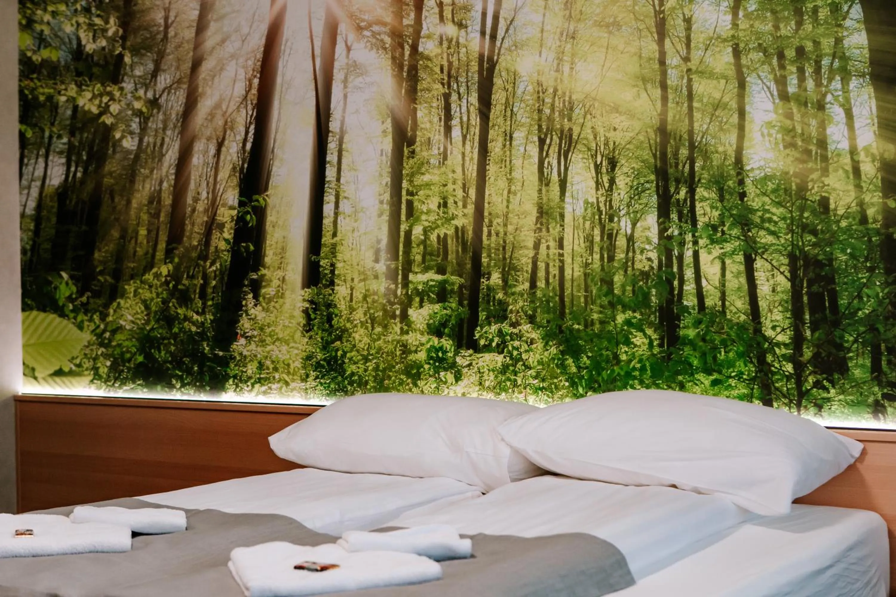 Property building in Park Hotel Sóstó