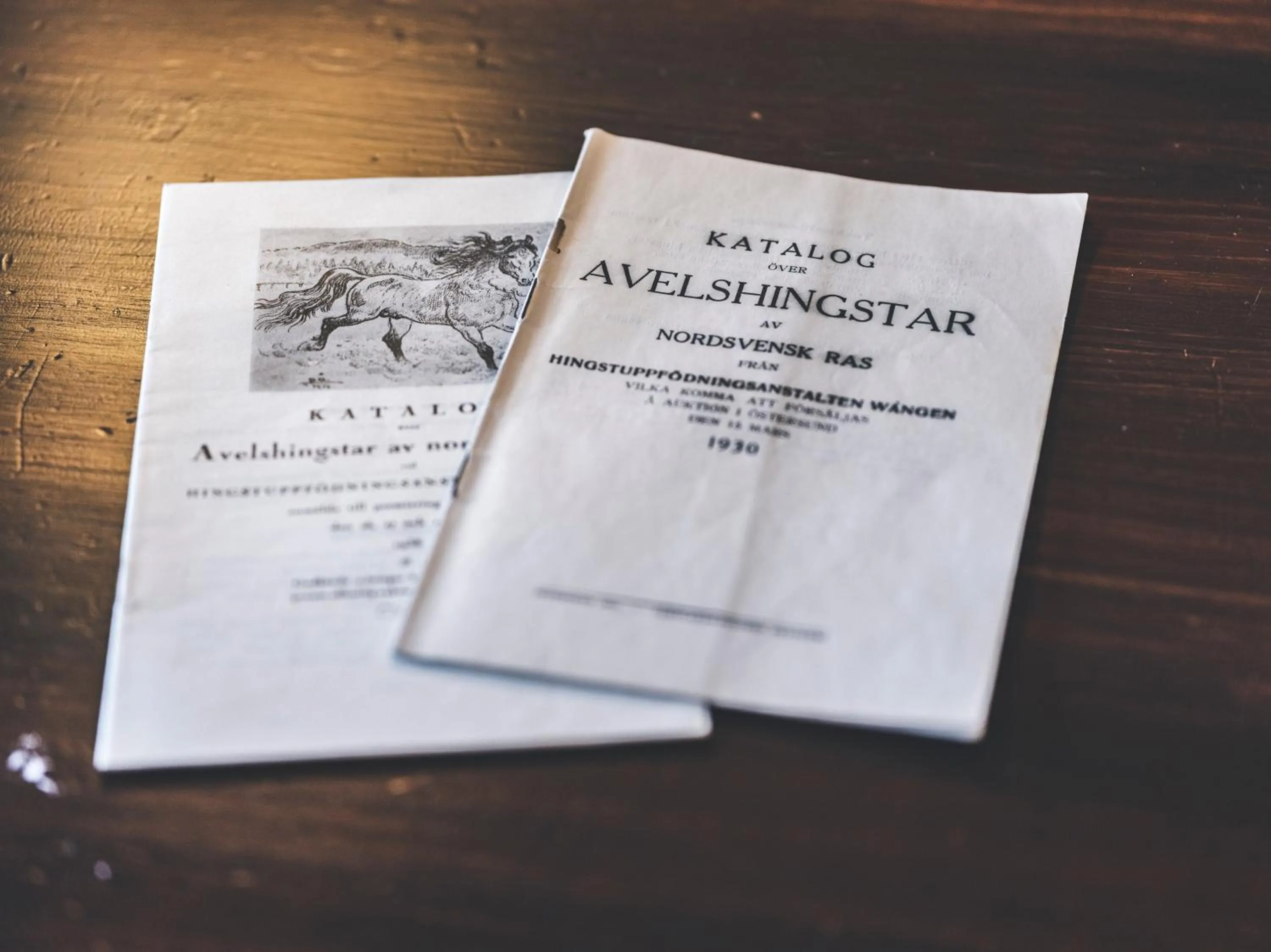 Decorative detail in Wångens Wärdshus