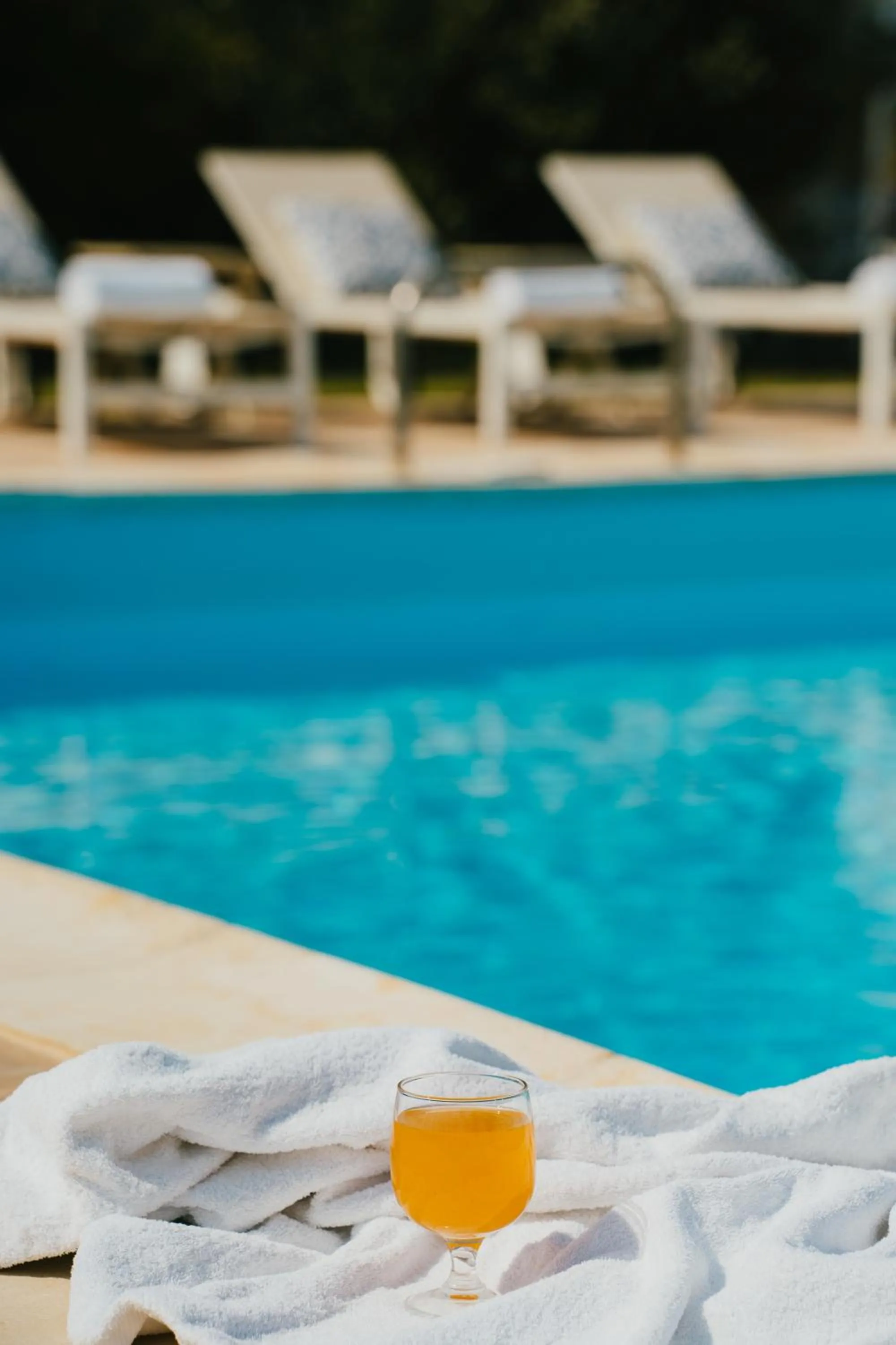 Day in Paradise Art Hotel