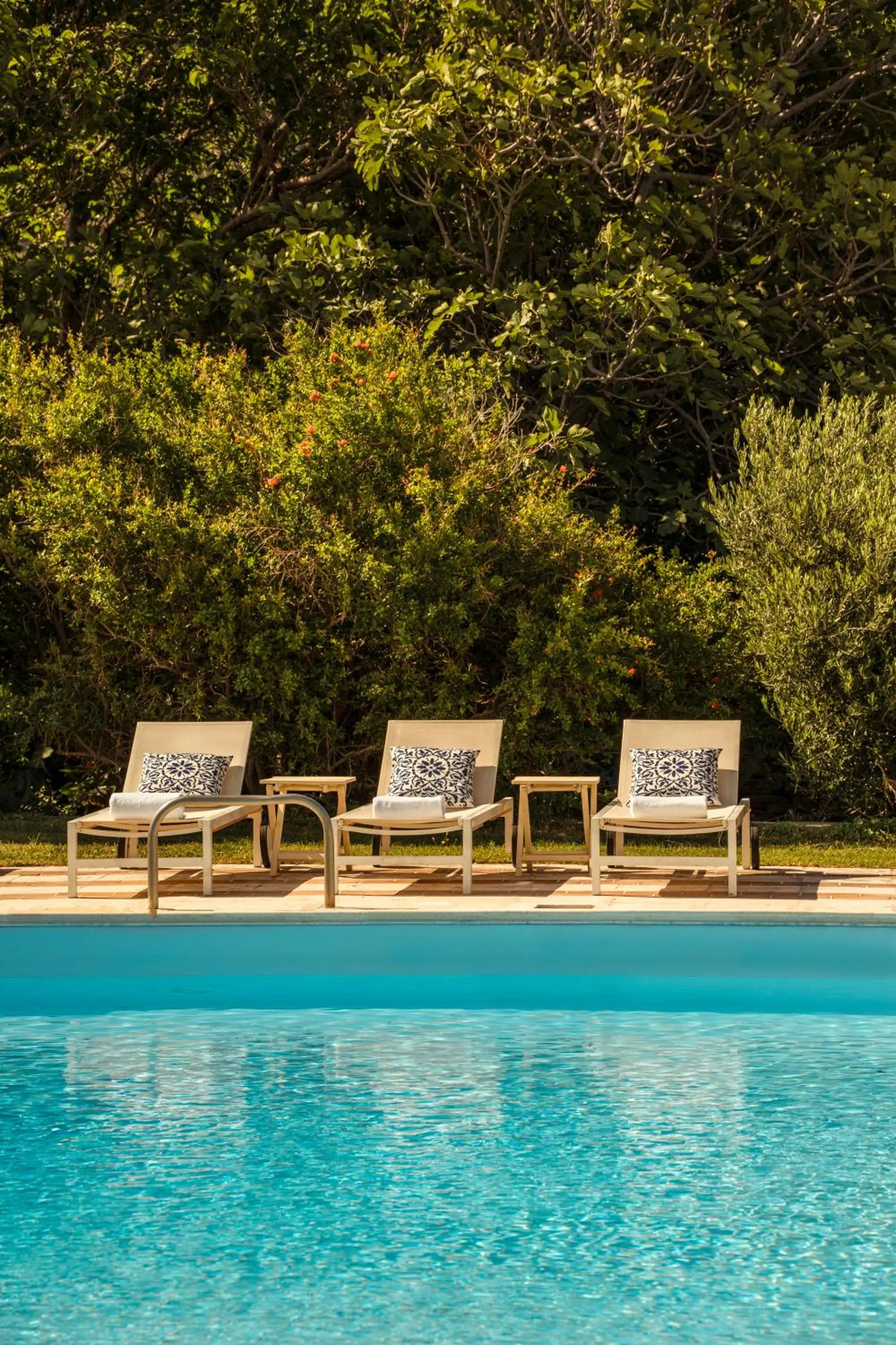 Day in Paradise Art Hotel