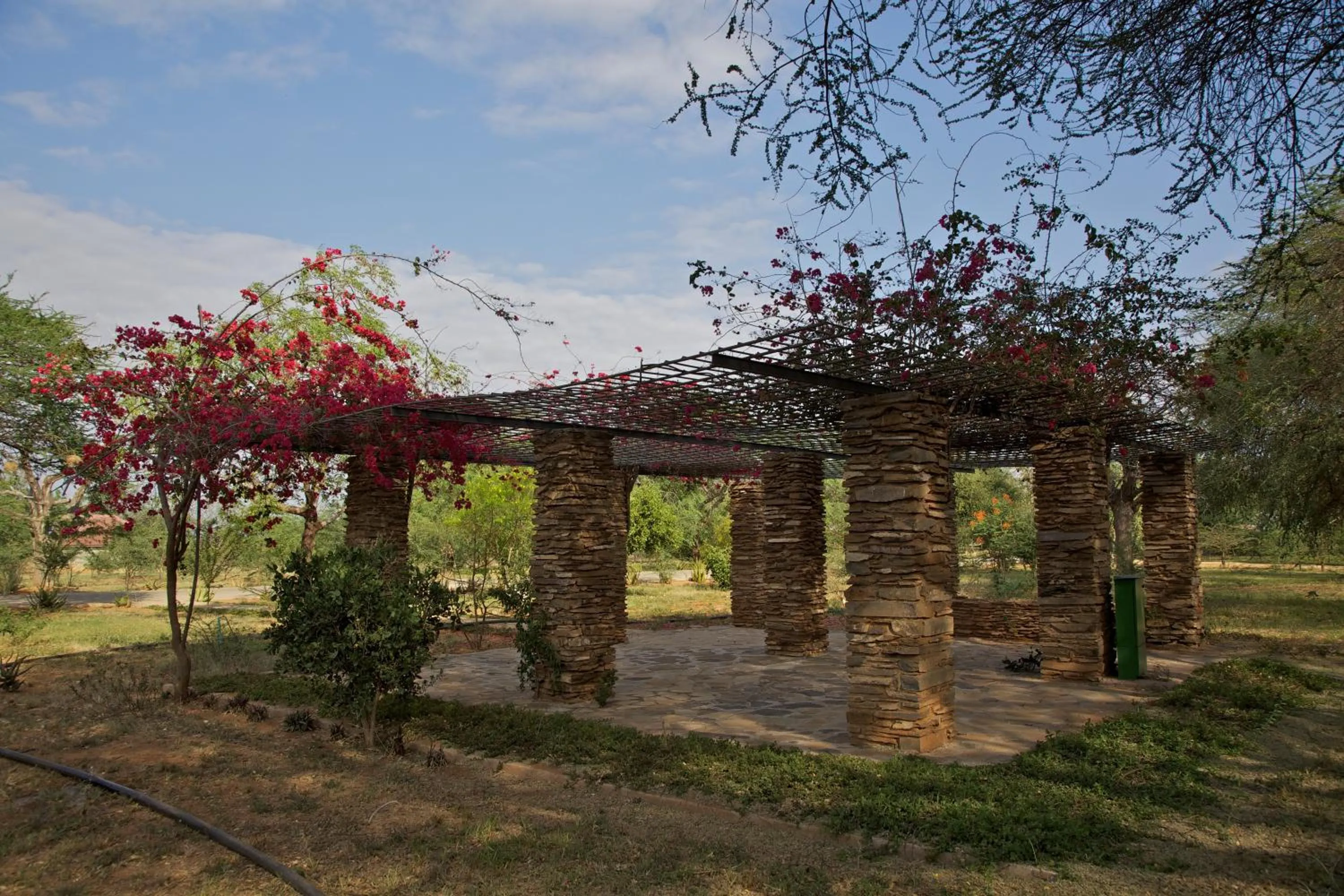 Area and facilities in Ashnil Aruba Lodge