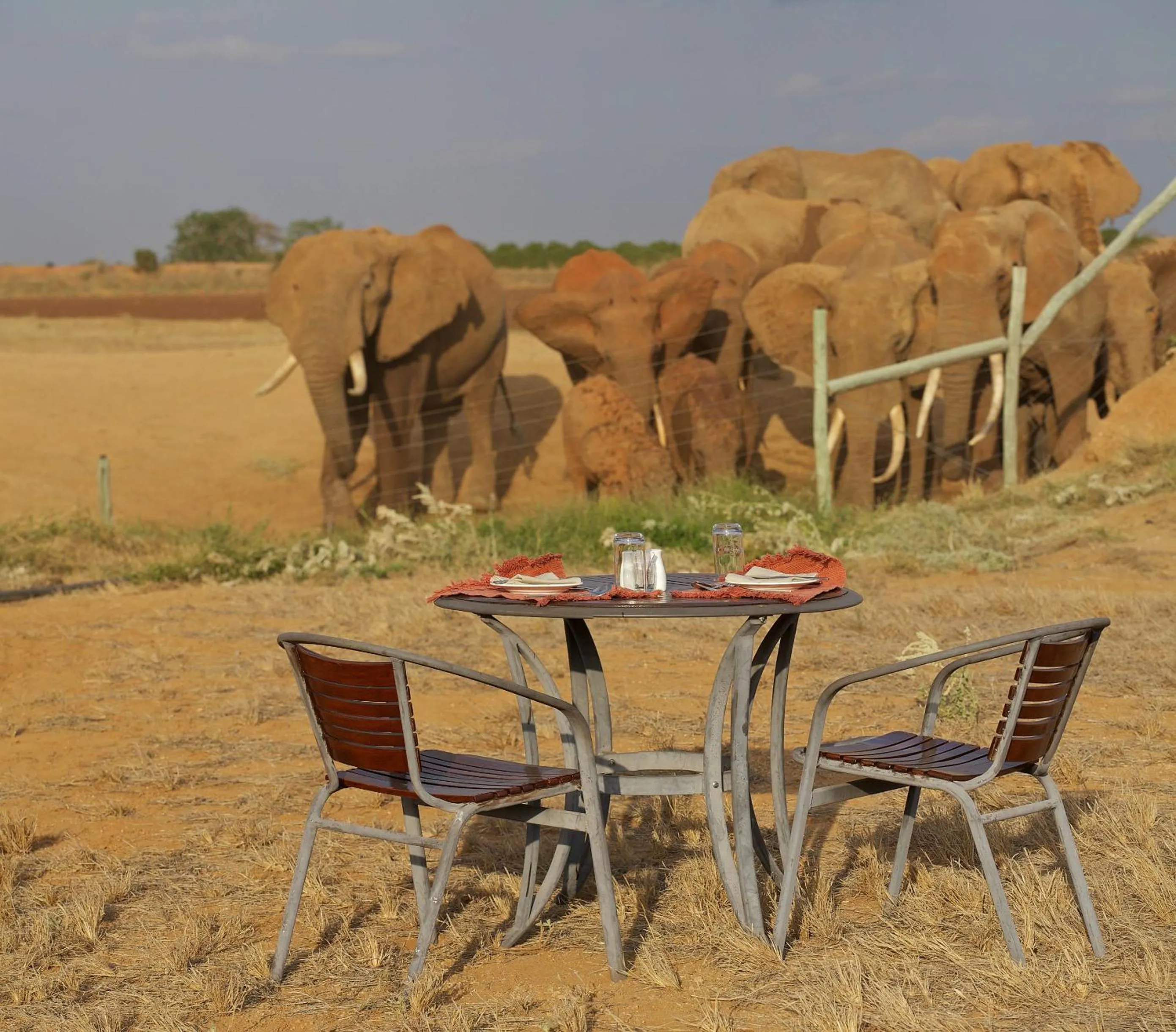 Restaurant/places to eat in Ashnil Aruba Lodge