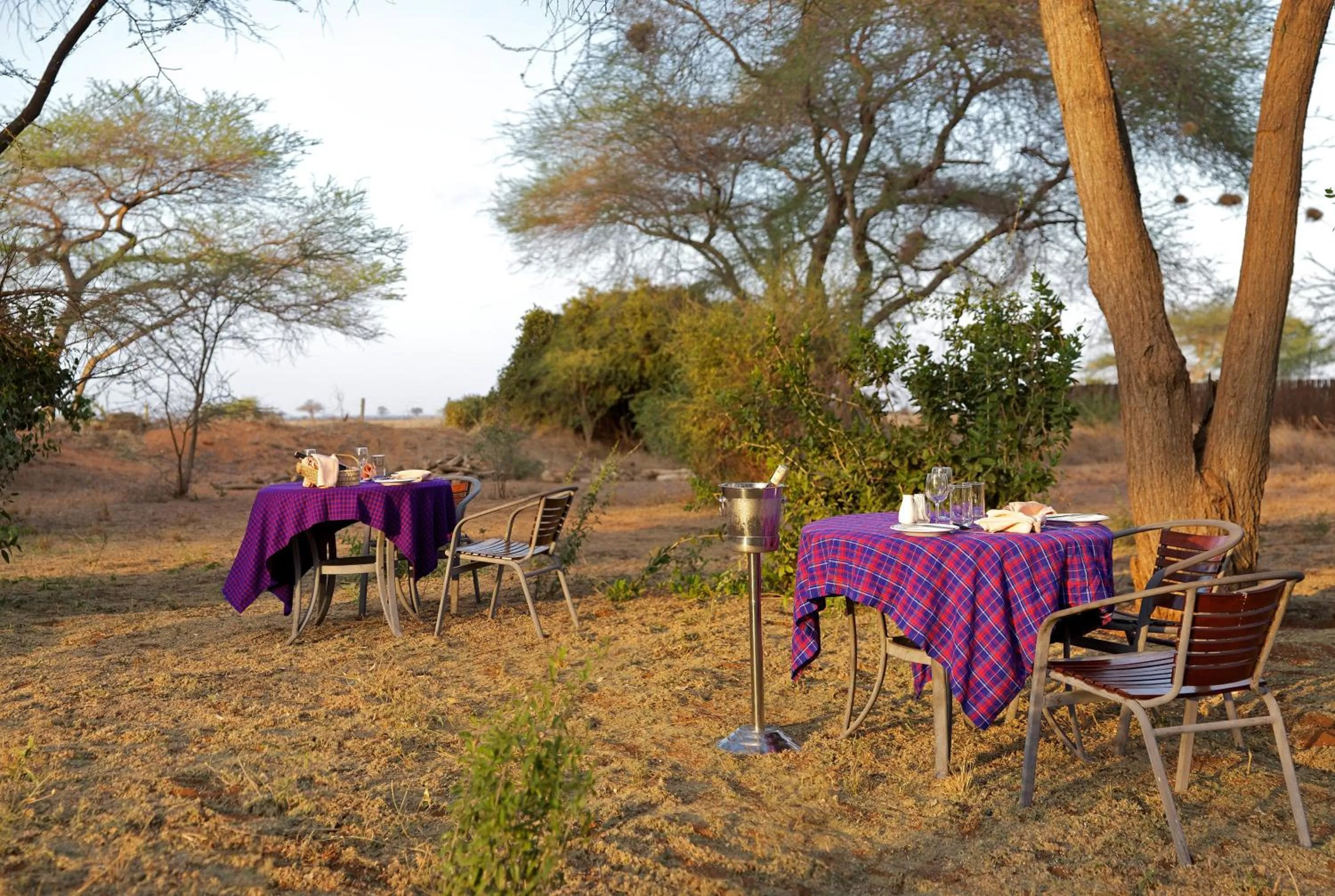 Restaurant/places to eat in Ashnil Aruba Lodge