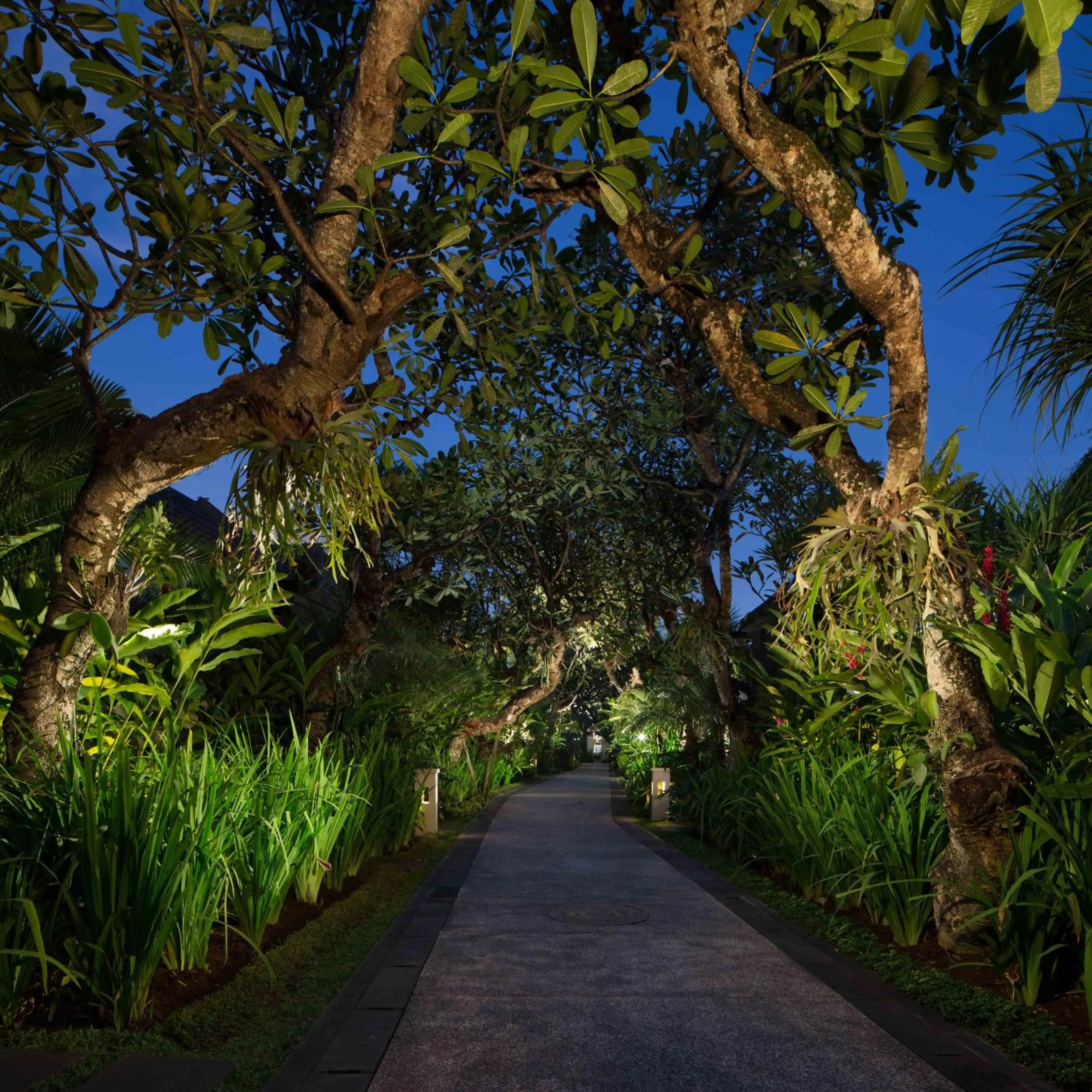 Garden in Sun Island Boutique Villas & Spa Seminyak