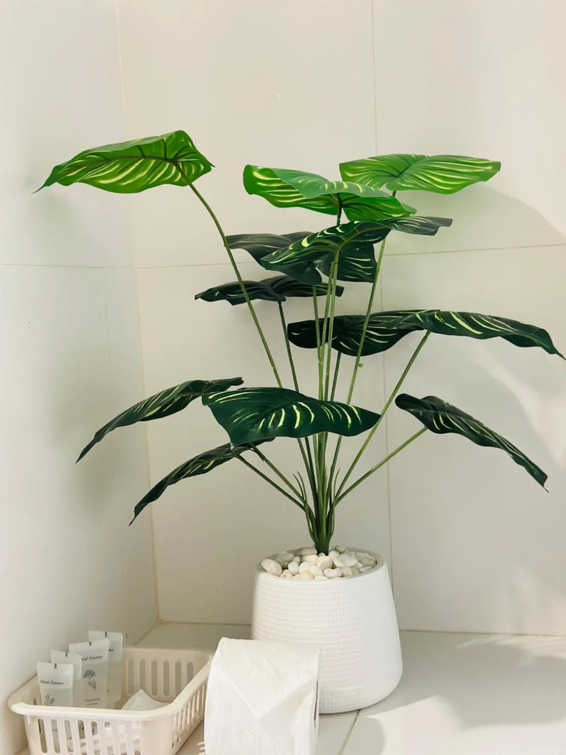 Property building in Seeka Boutique Resort