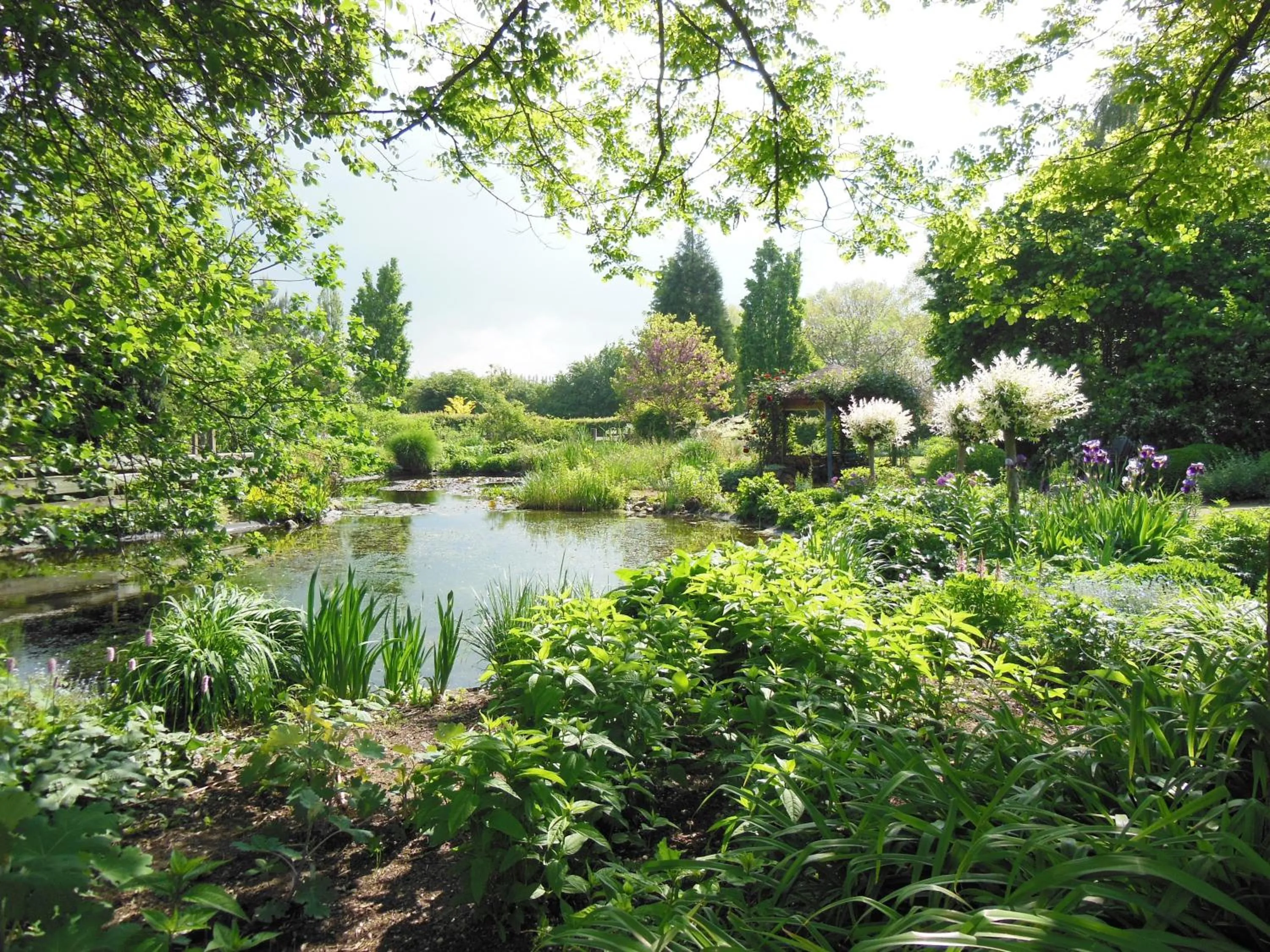 Garden in Bed and Garden Alde Coninckshof