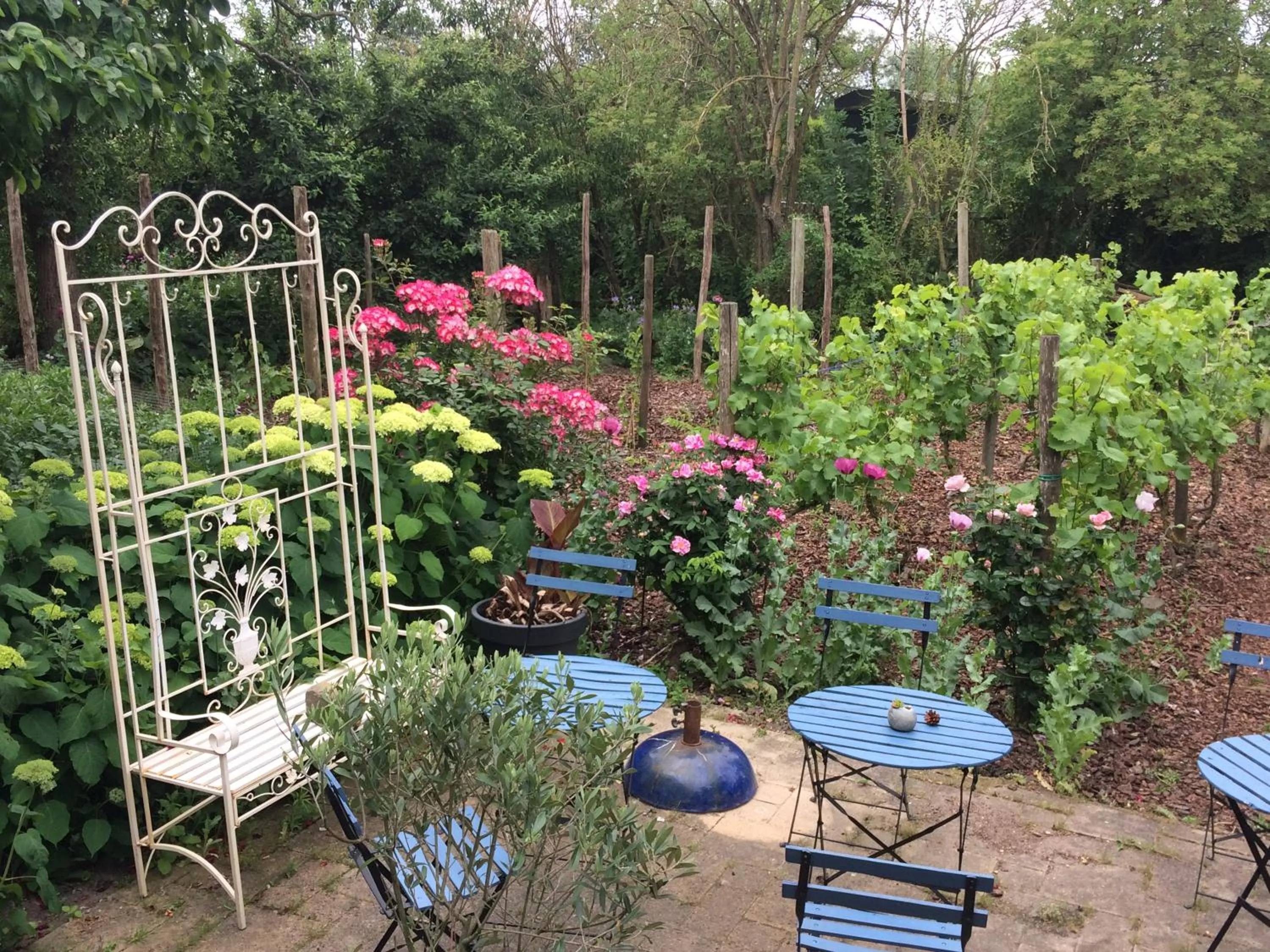 Banquet/Function facilities in Bed and Garden Alde Coninckshof