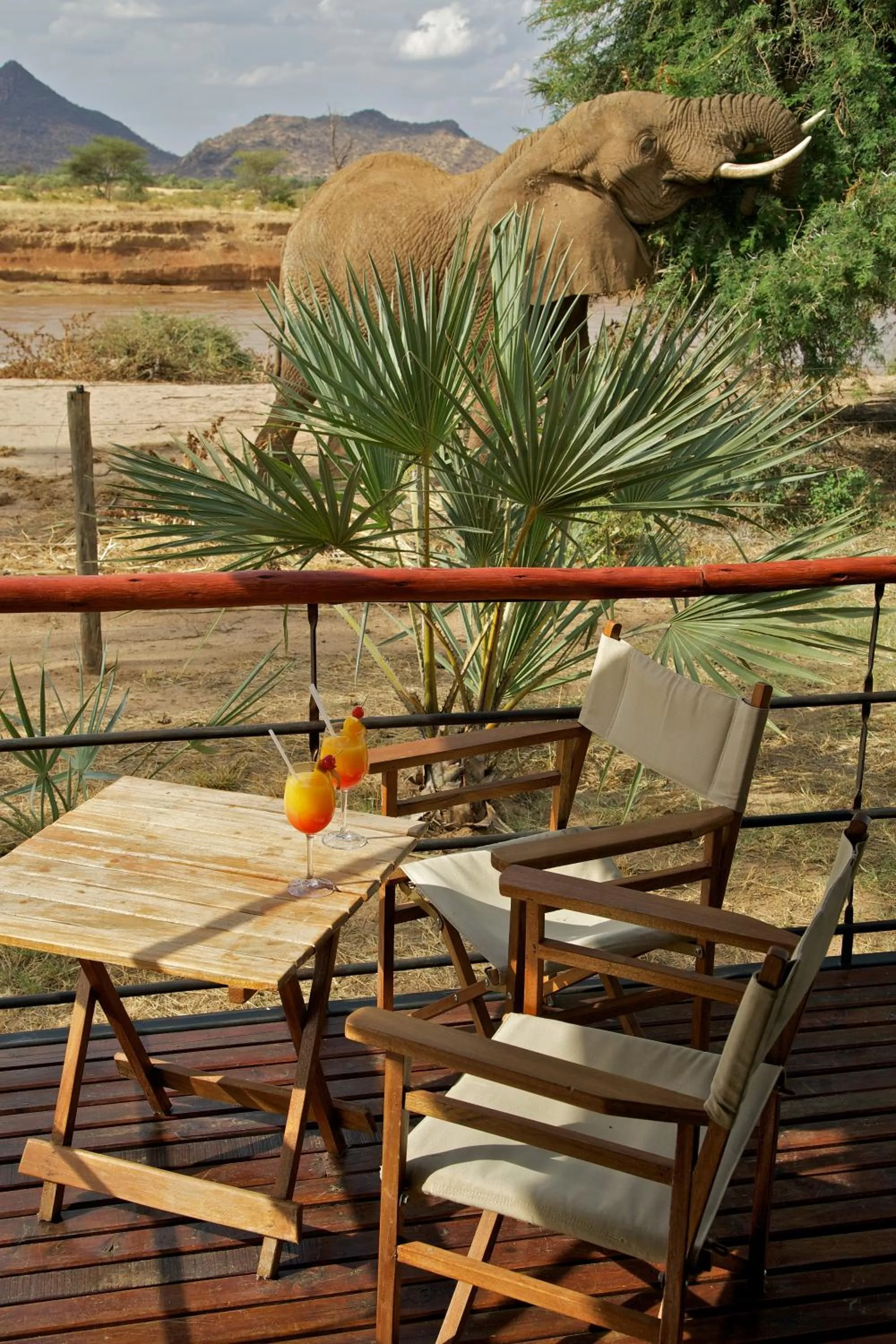 River view in Ashnil Samburu Camp