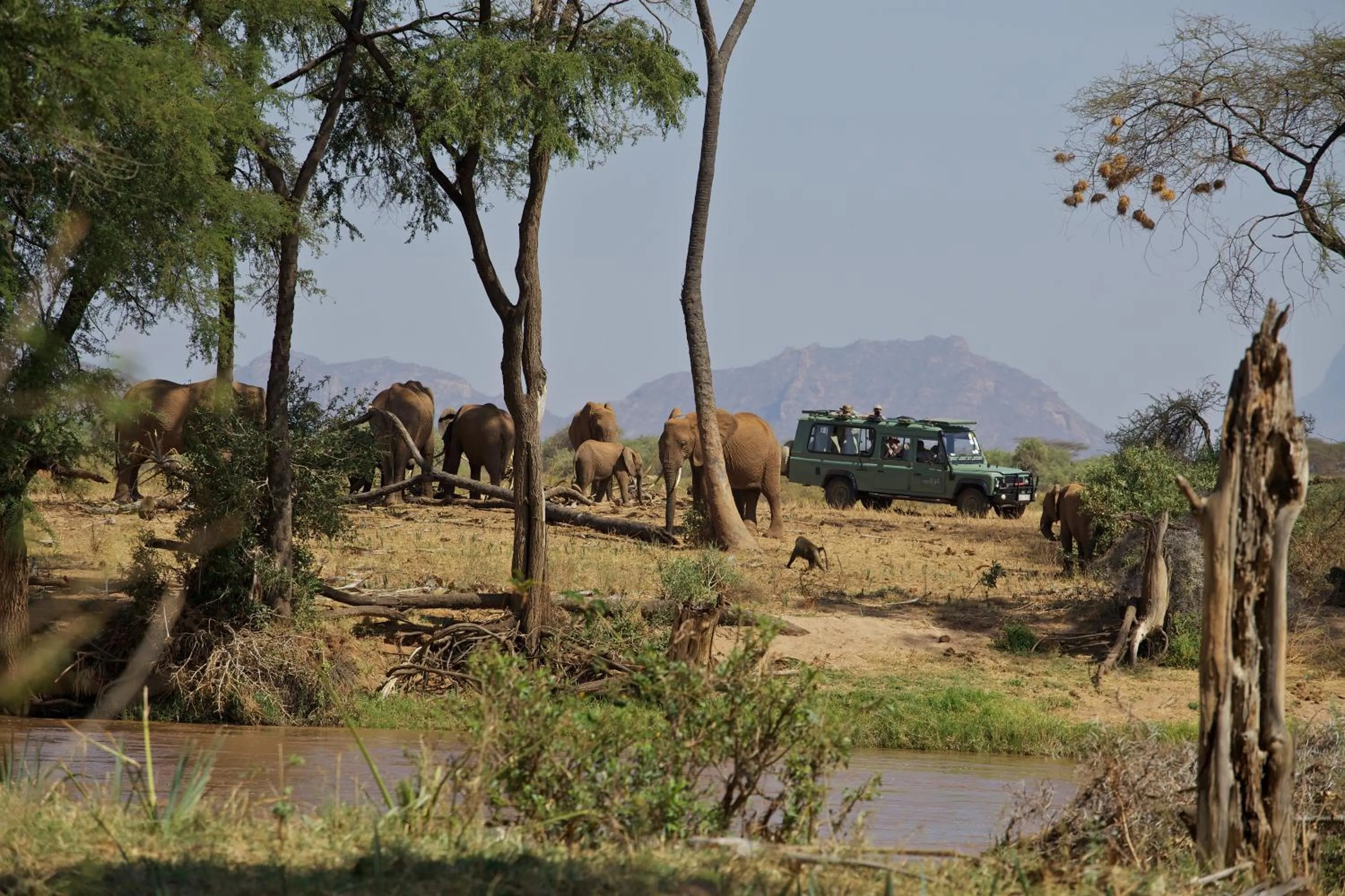 Activities in Ashnil Samburu Camp