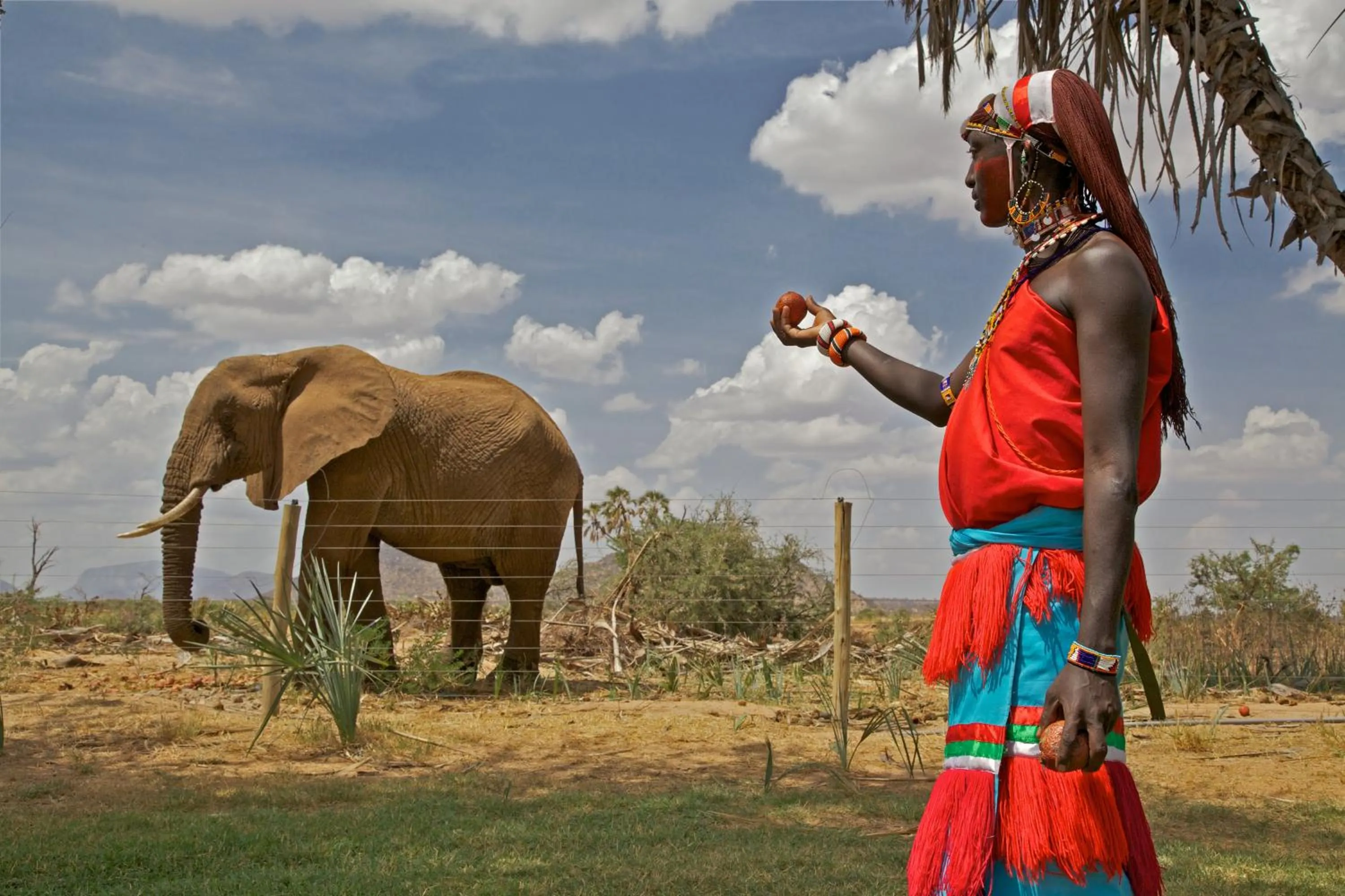 Animals in Ashnil Samburu Camp