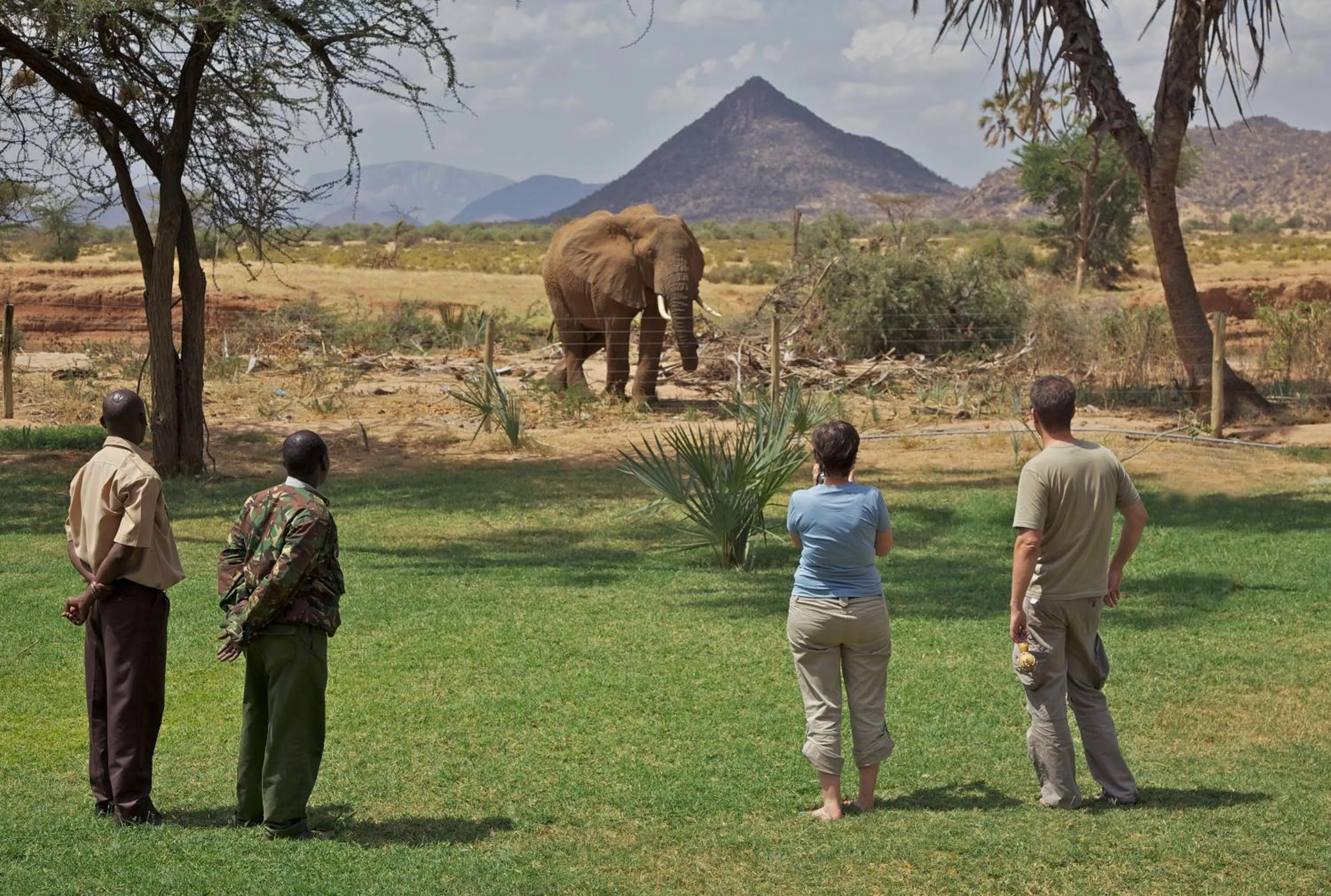 Animals in Ashnil Samburu Camp