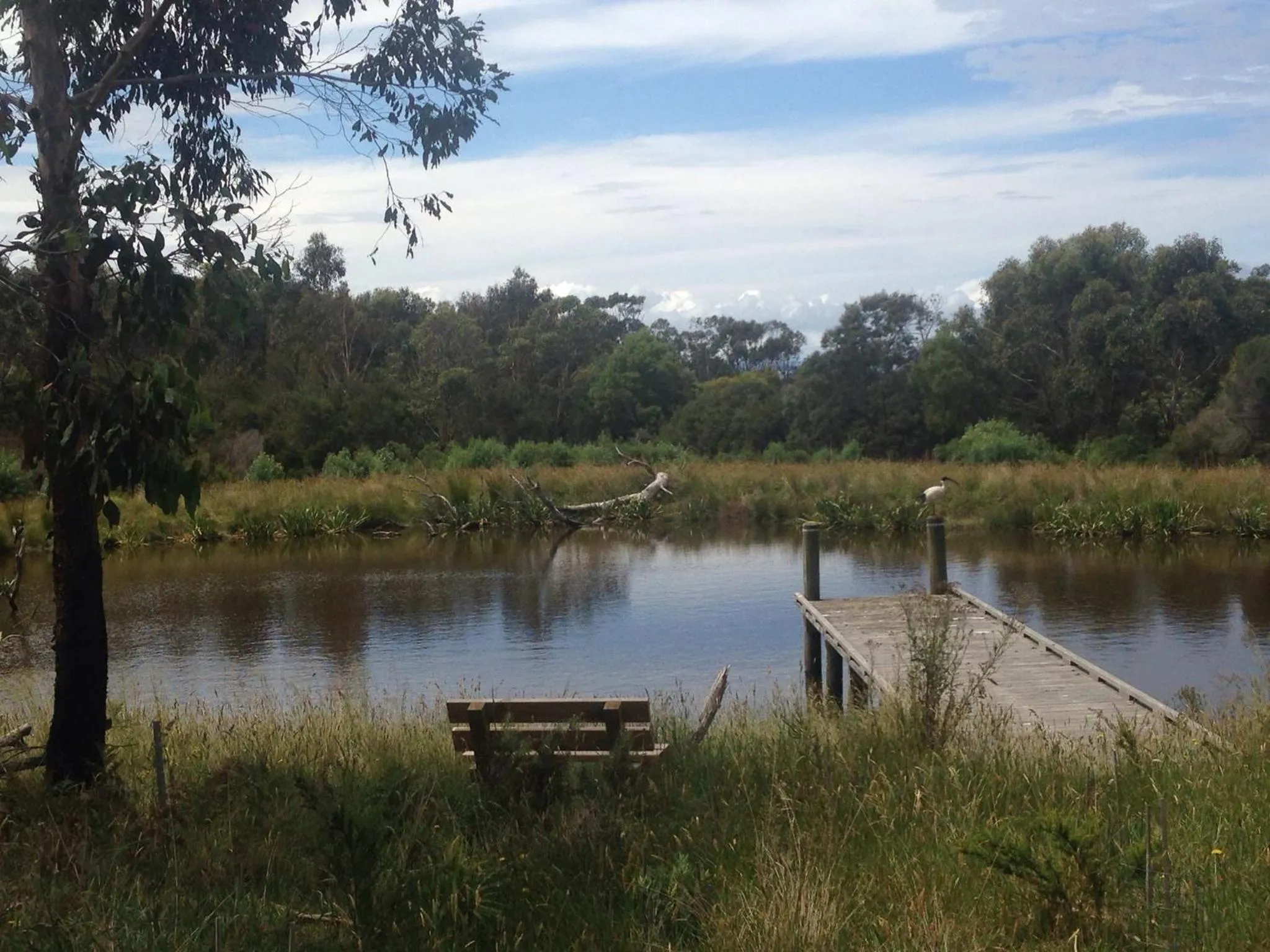 Natural landscape in Messmates Luxury Eco Suites