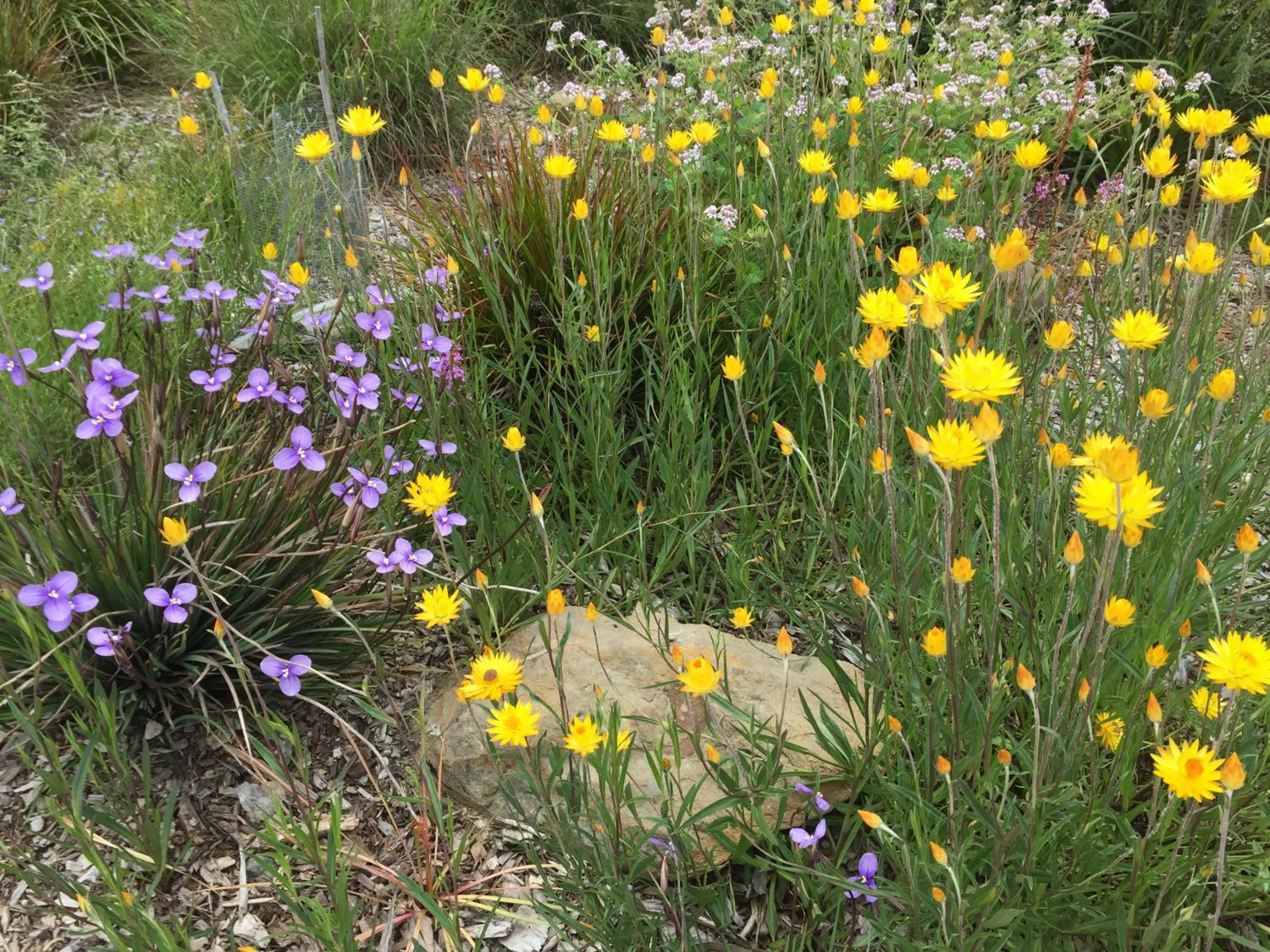 Natural landscape in Messmates Luxury Eco Suites