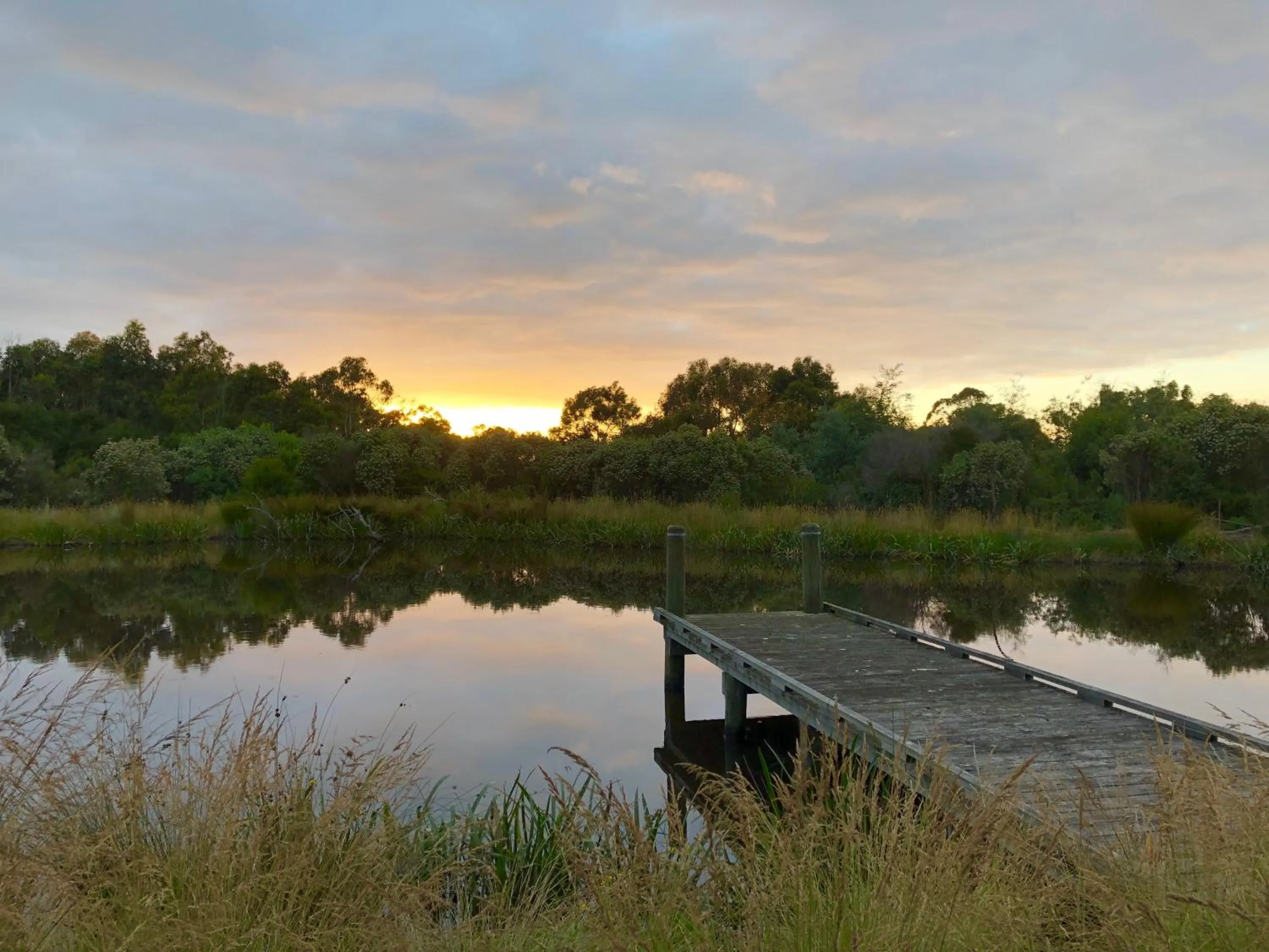 Natural landscape in Messmates Luxury Eco Suites