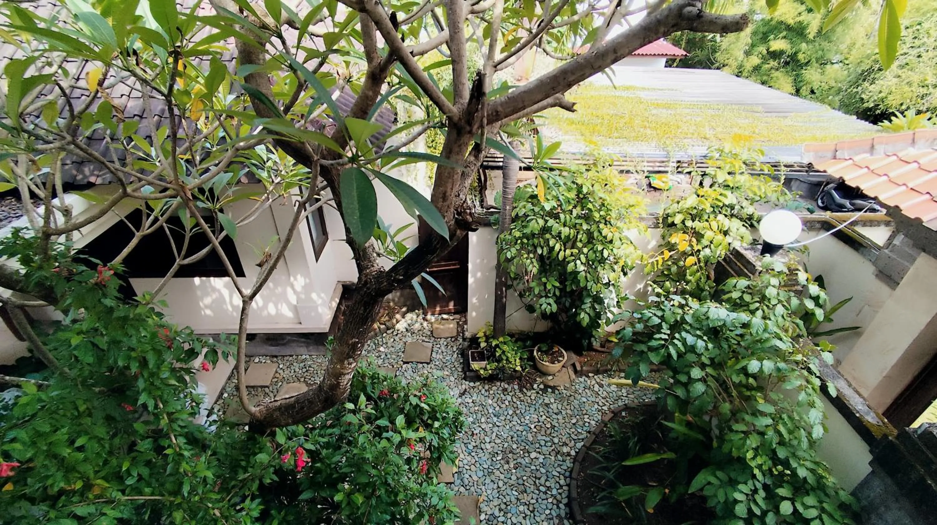 Suite Room  in Villa Diana Bali